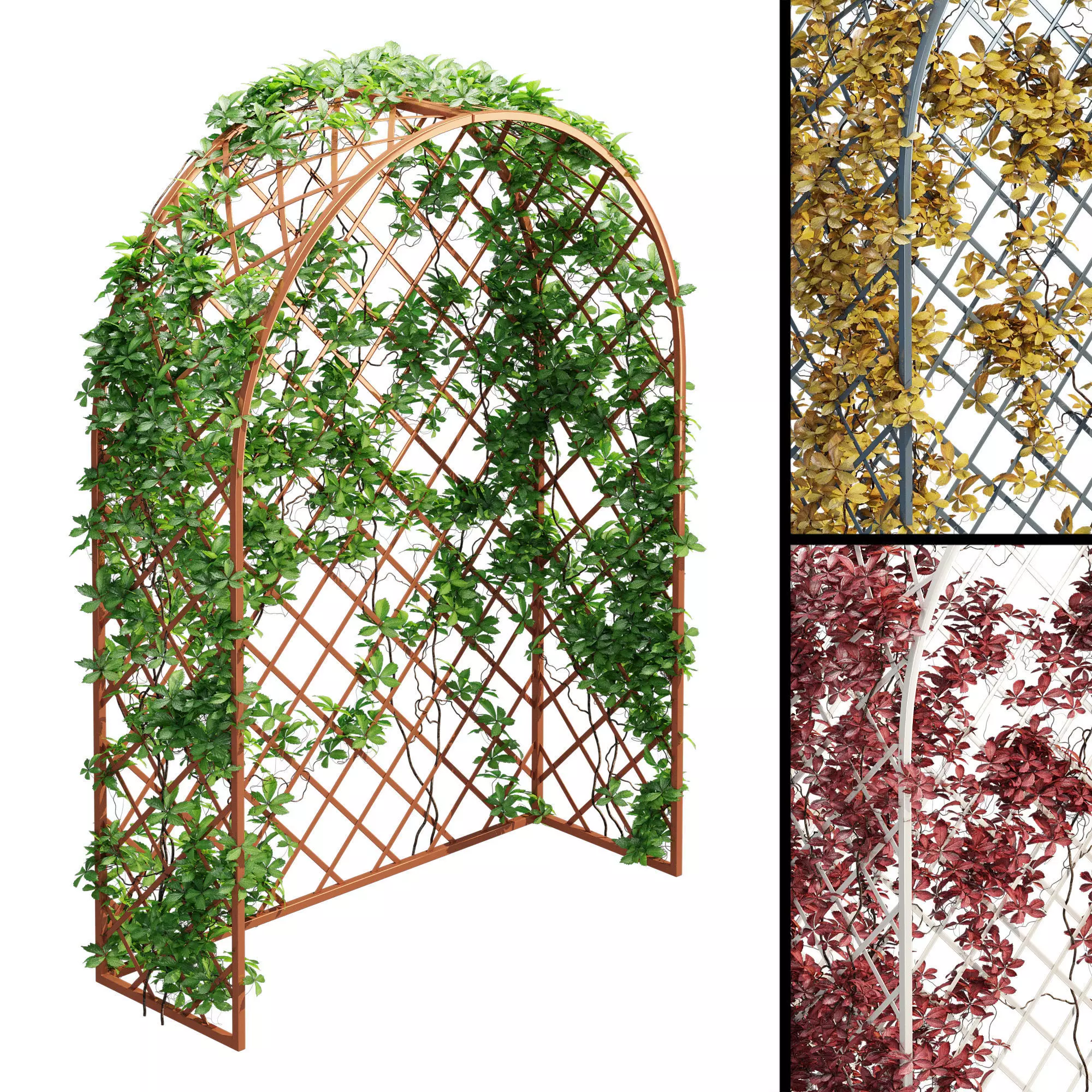 Villandry ivy arbour 3D model