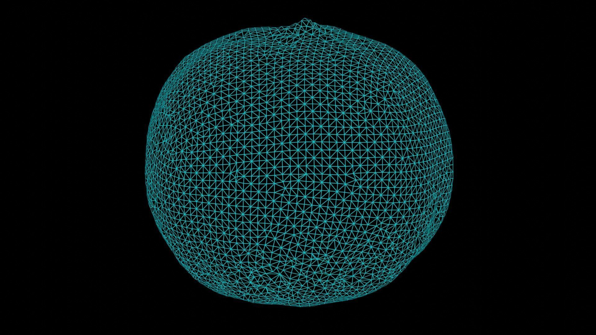 Tangerine 1 Photorealistic  Low-poly 3D model_4