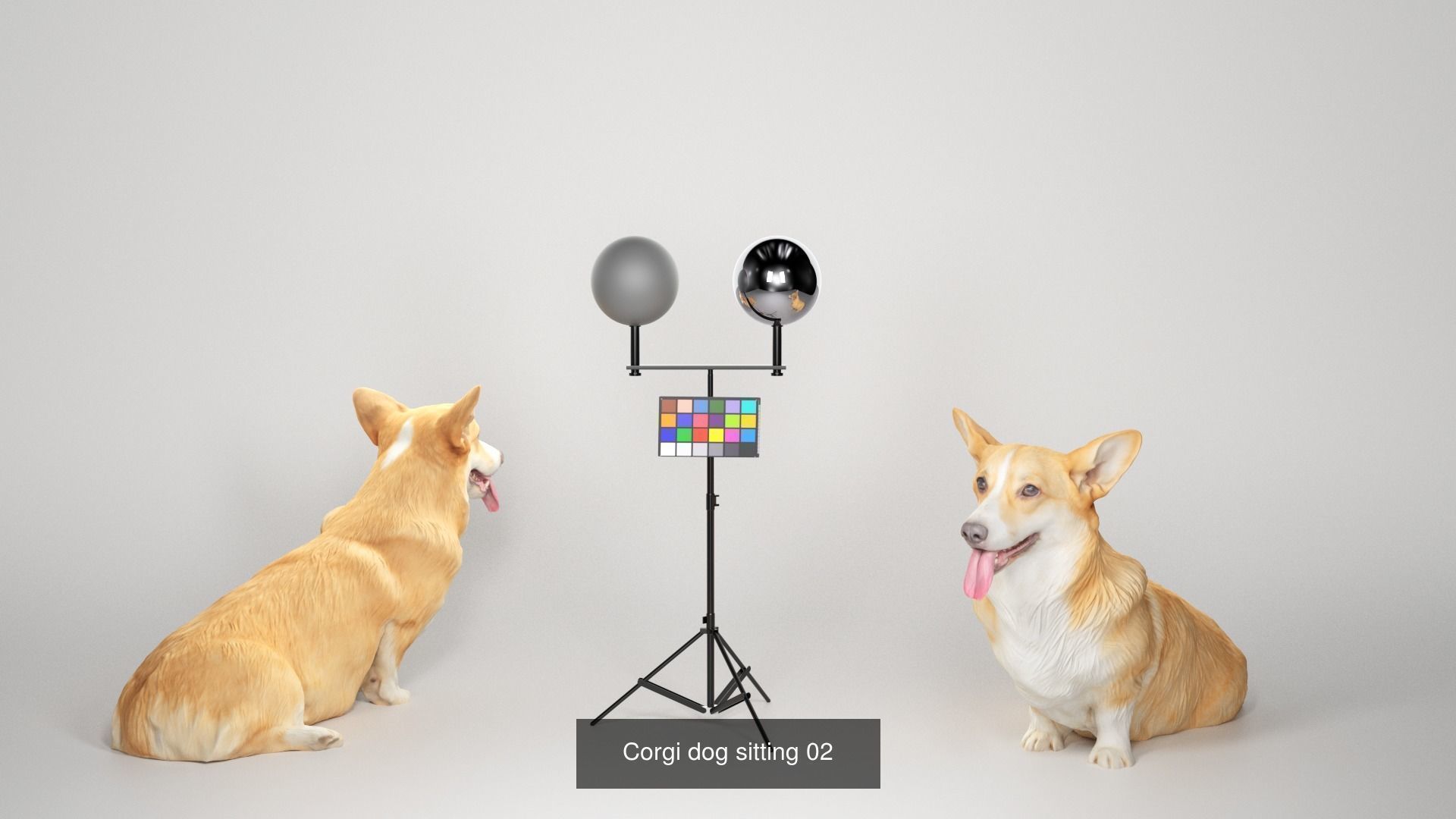 Pets 16 3D Model Collection_1