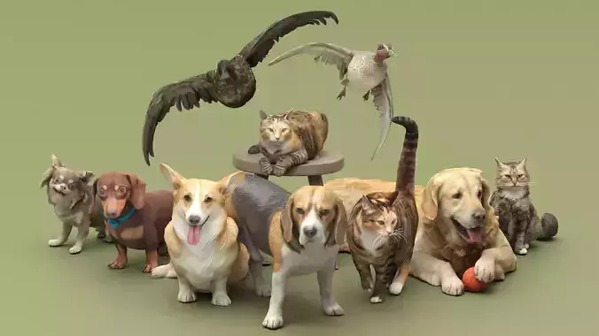 Pets 16 3D Model Collection