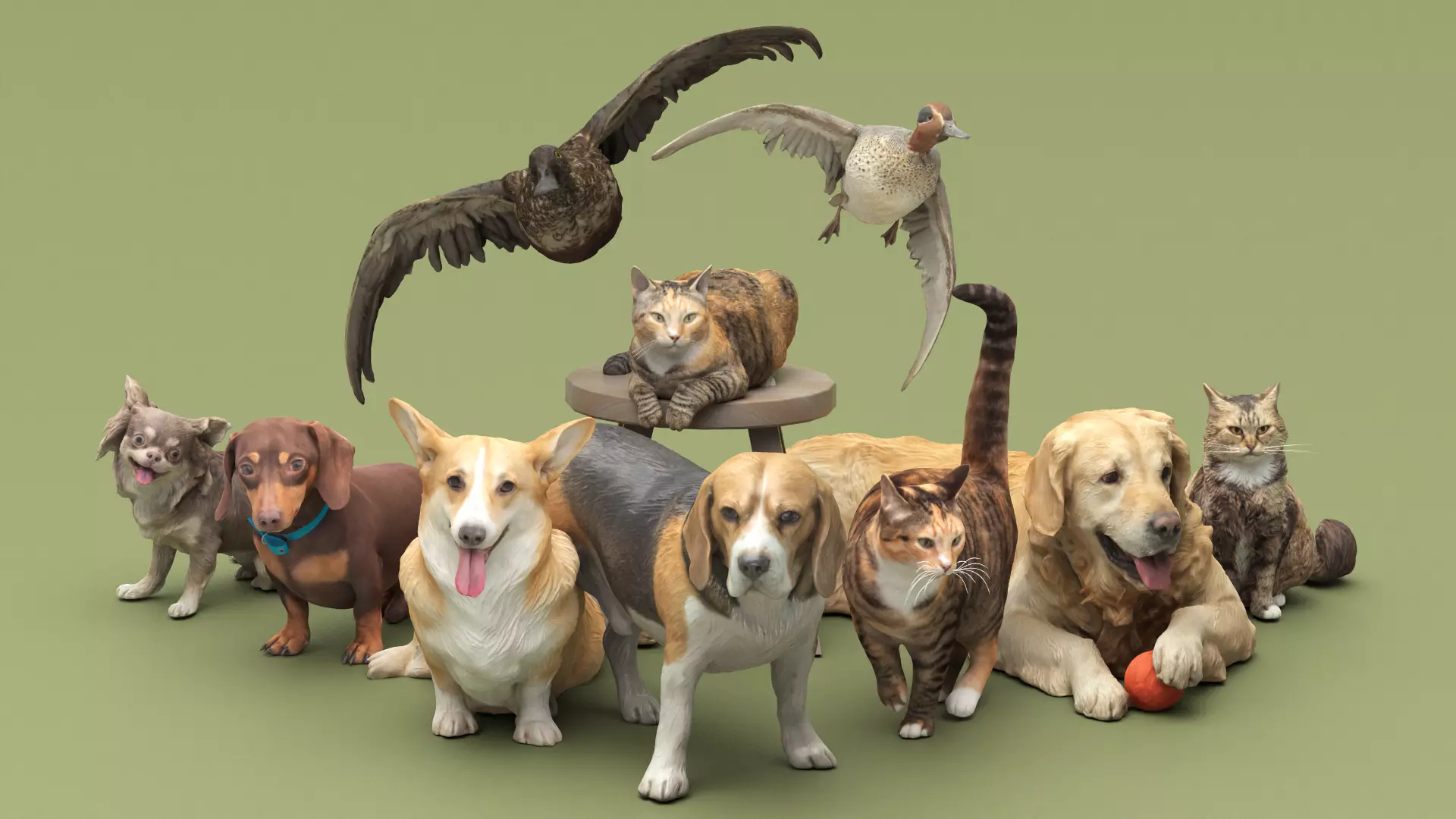Pets 16 3D Model Collection_0