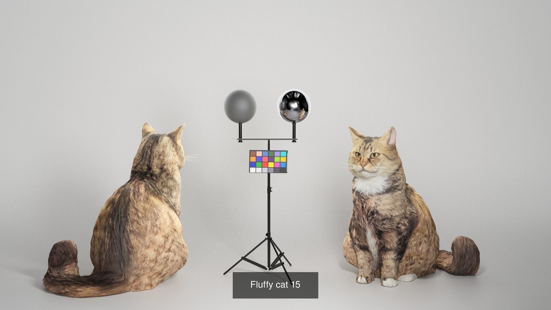 Pets 16 3D Model Collection_6