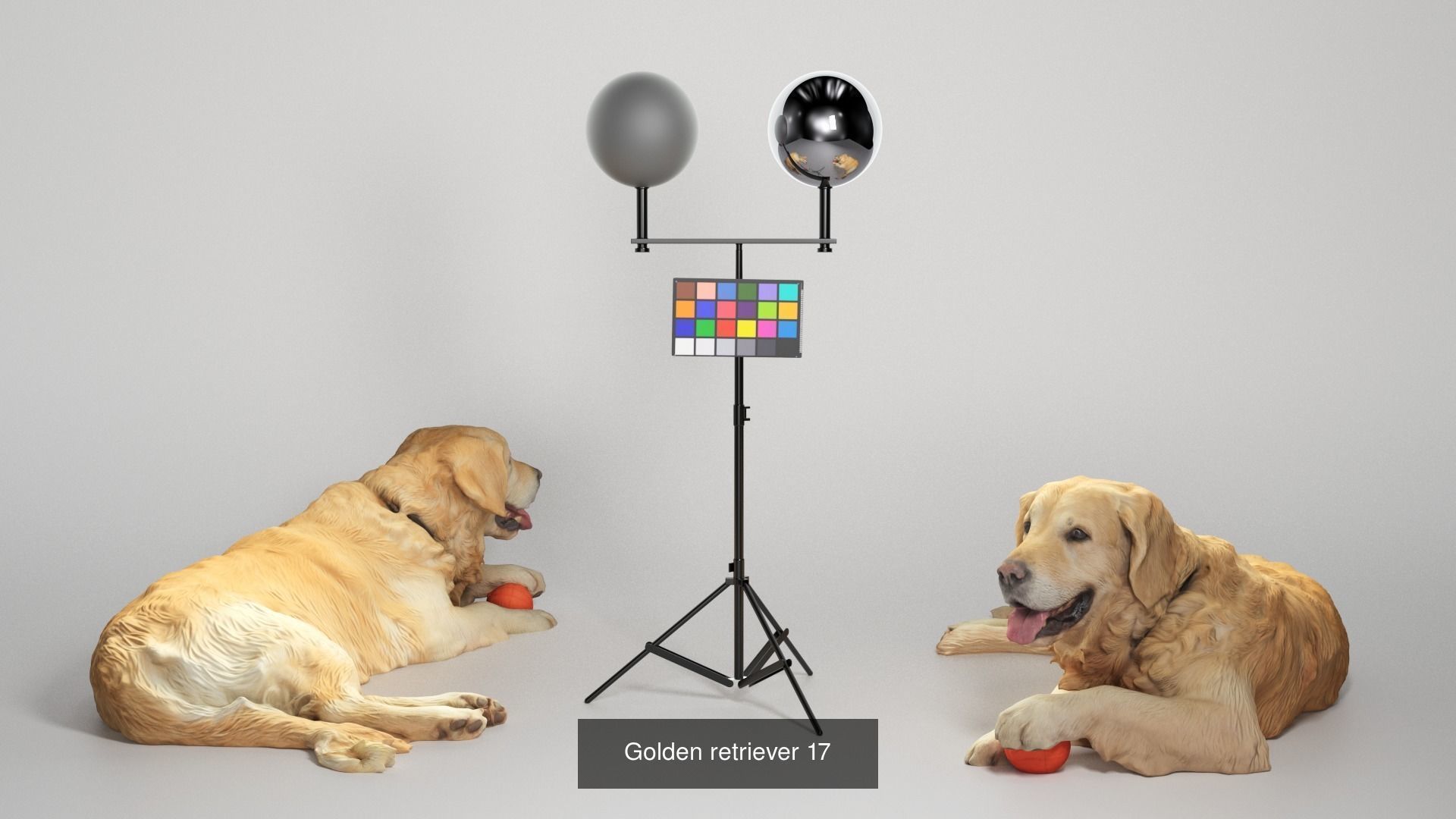 Pets 16 3D Model Collection_7