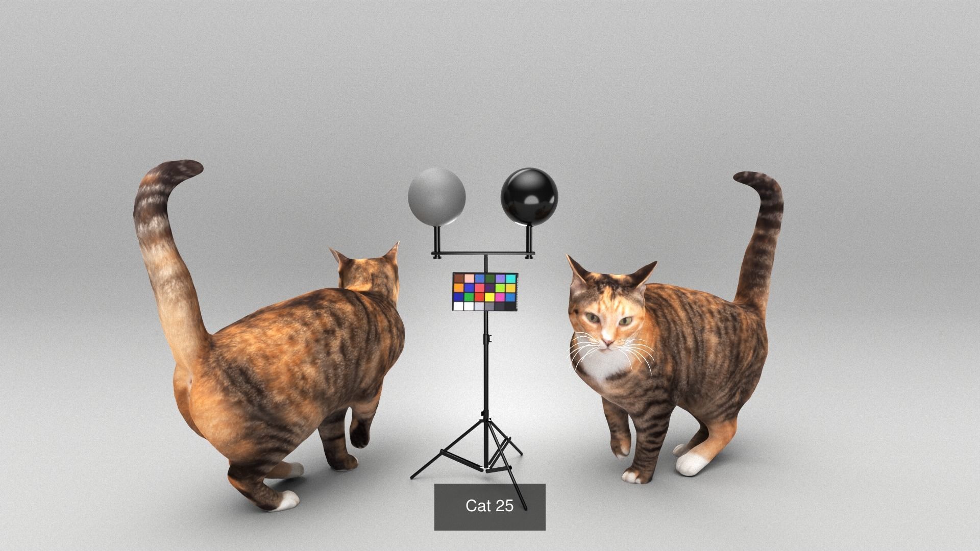 Pets 16 3D Model Collection_9
