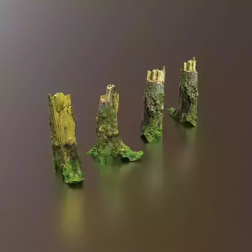 Tree Stump 4k -Part 11-