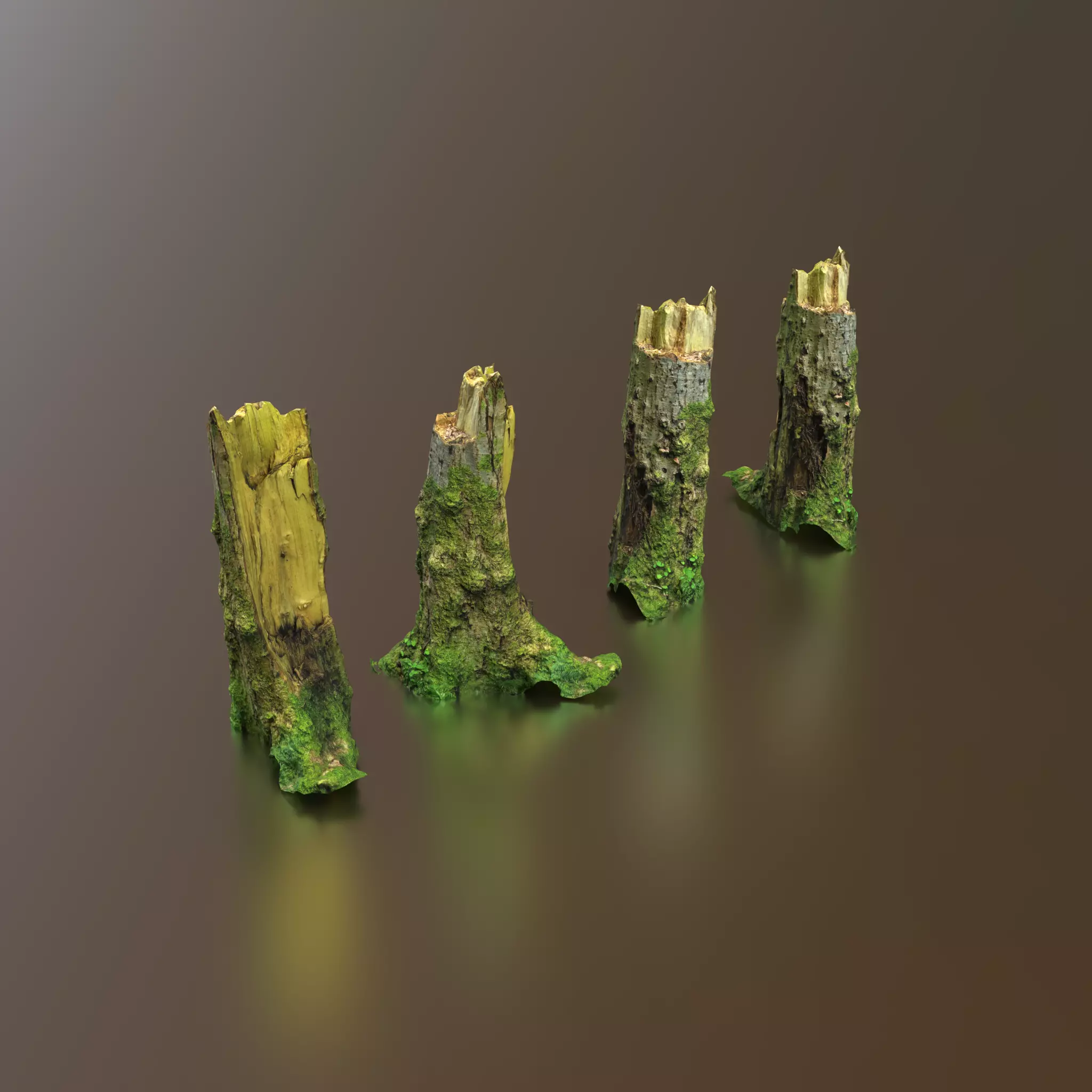 Tree Stump 4k -Part 11- Free low-poly 3D model