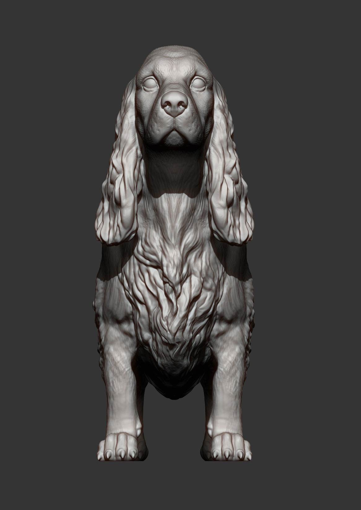 English Cocker Spaniel 3D print model_11