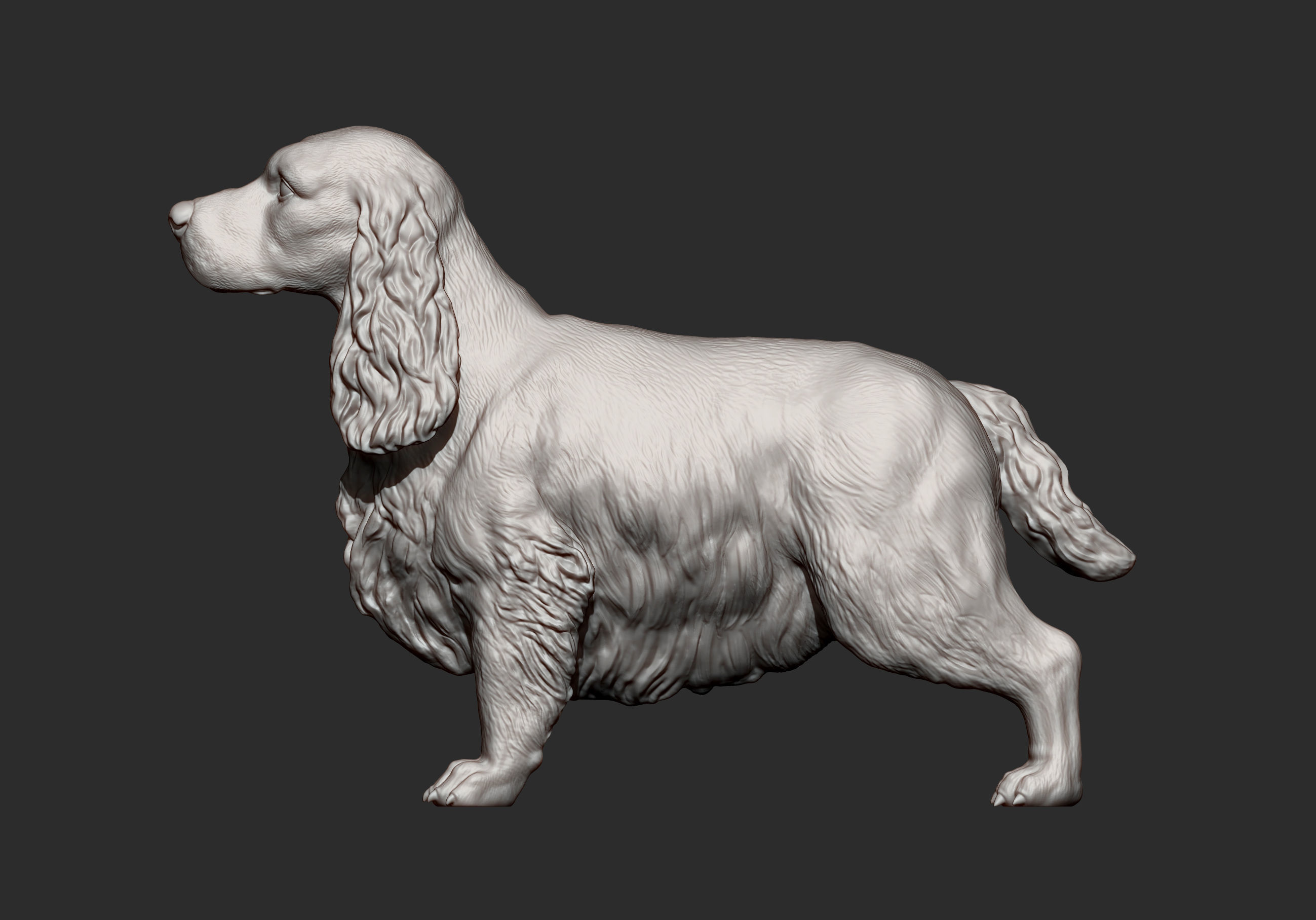 English Cocker Spaniel 3D print model_10