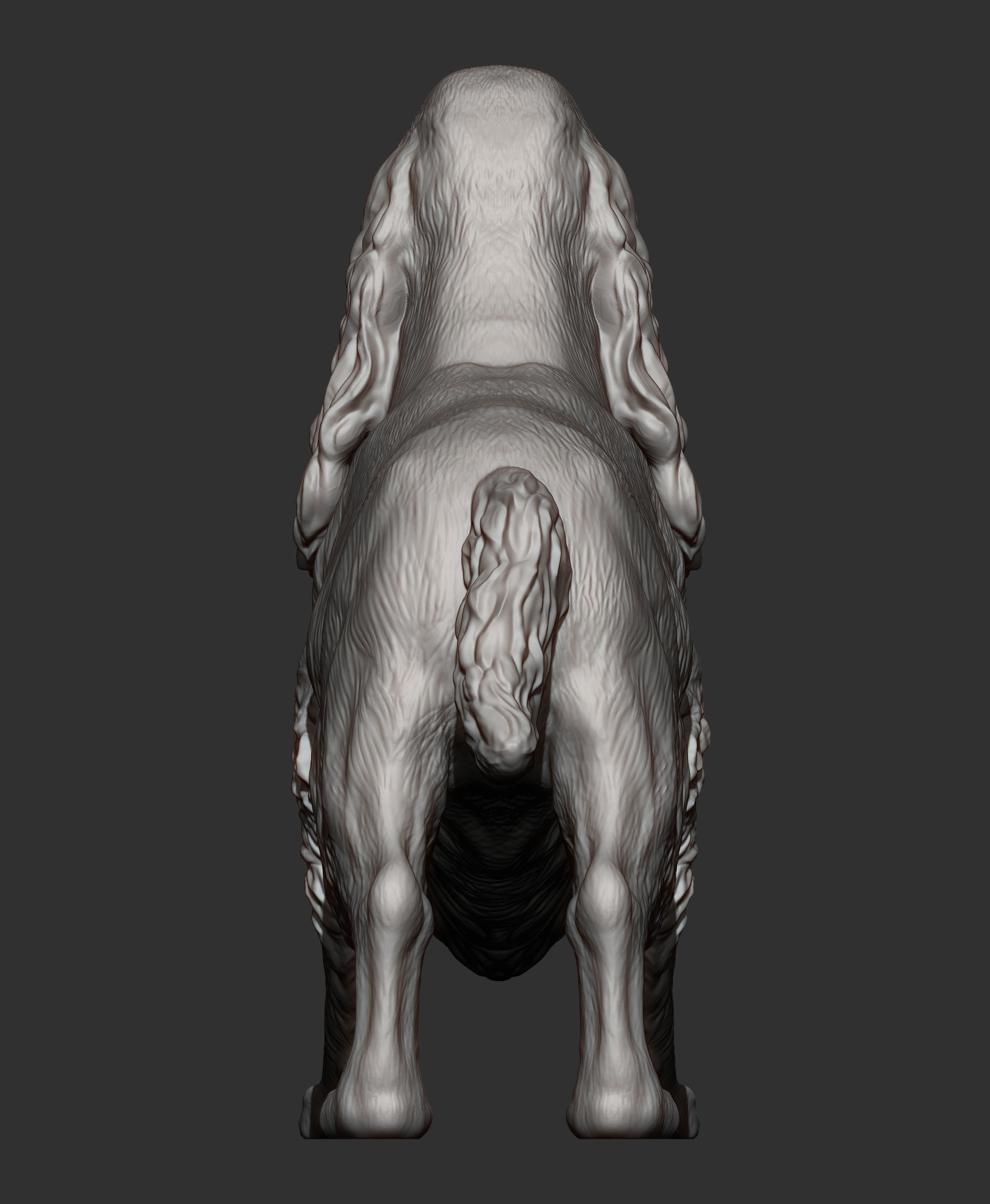 English Cocker Spaniel 3D print model_9