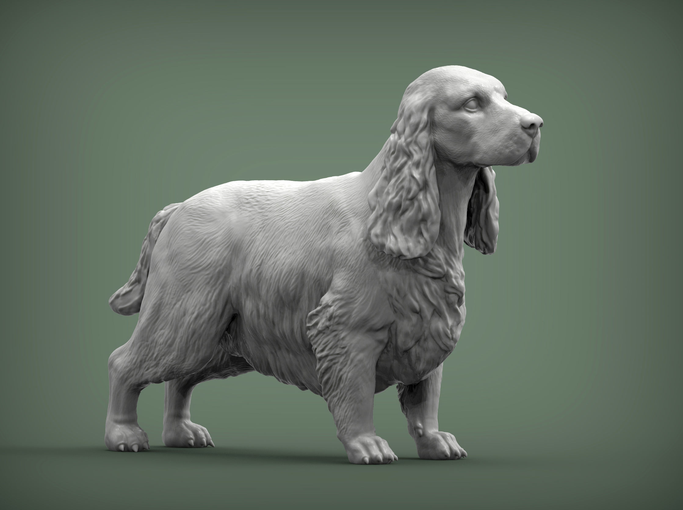 English Cocker Spaniel 3D print model_5