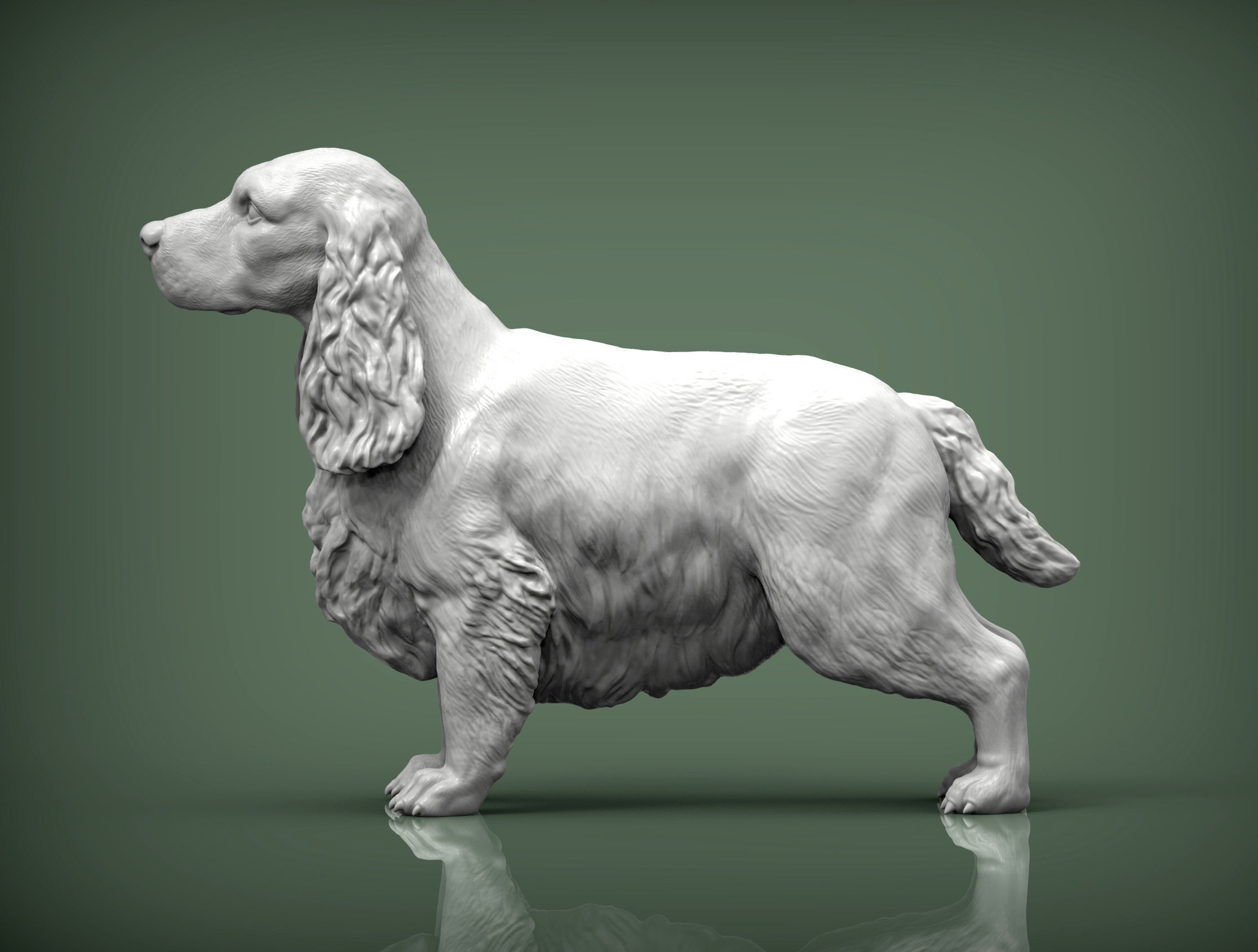 English Cocker Spaniel 3D print model_1
