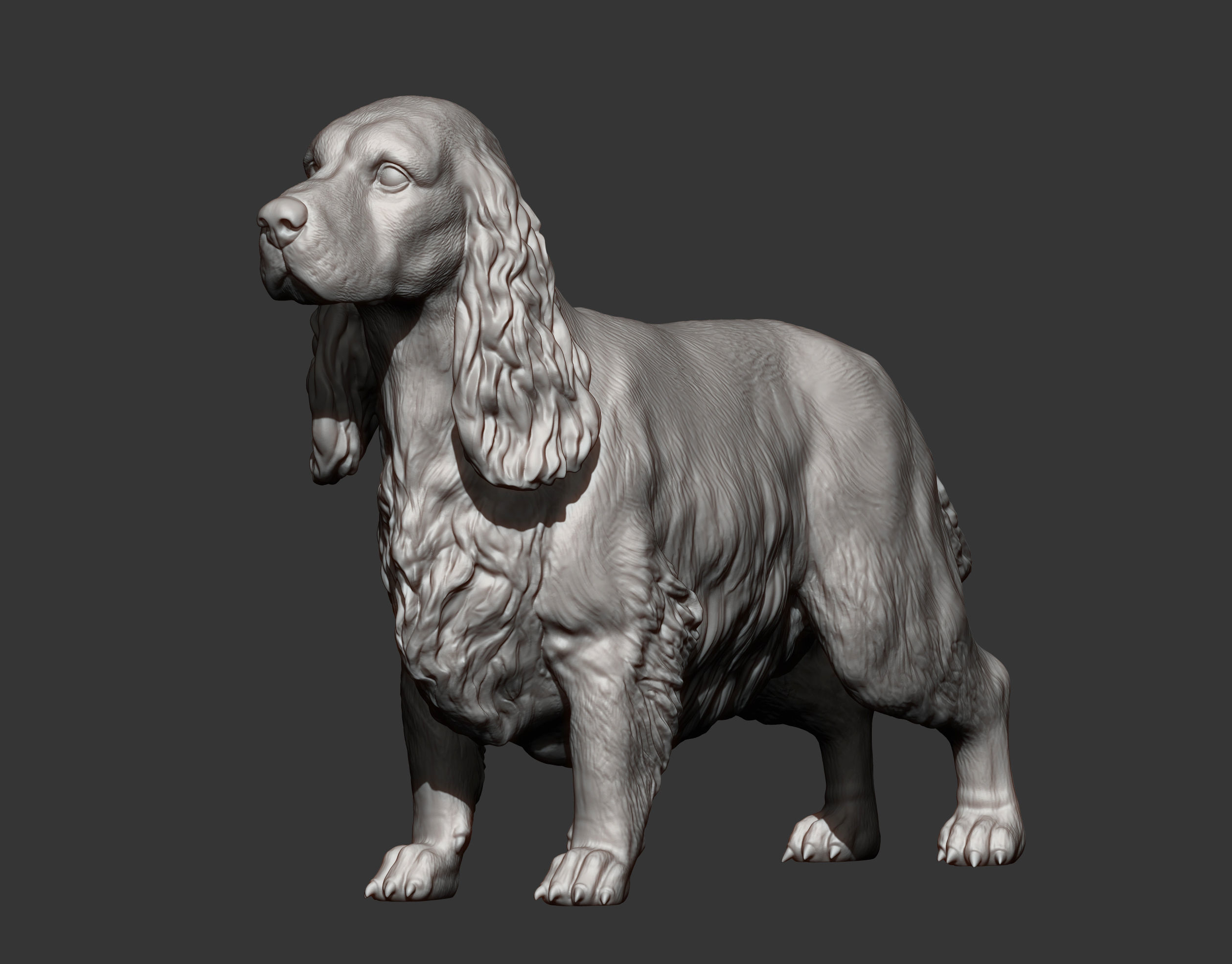 English Cocker Spaniel 3D print model_6