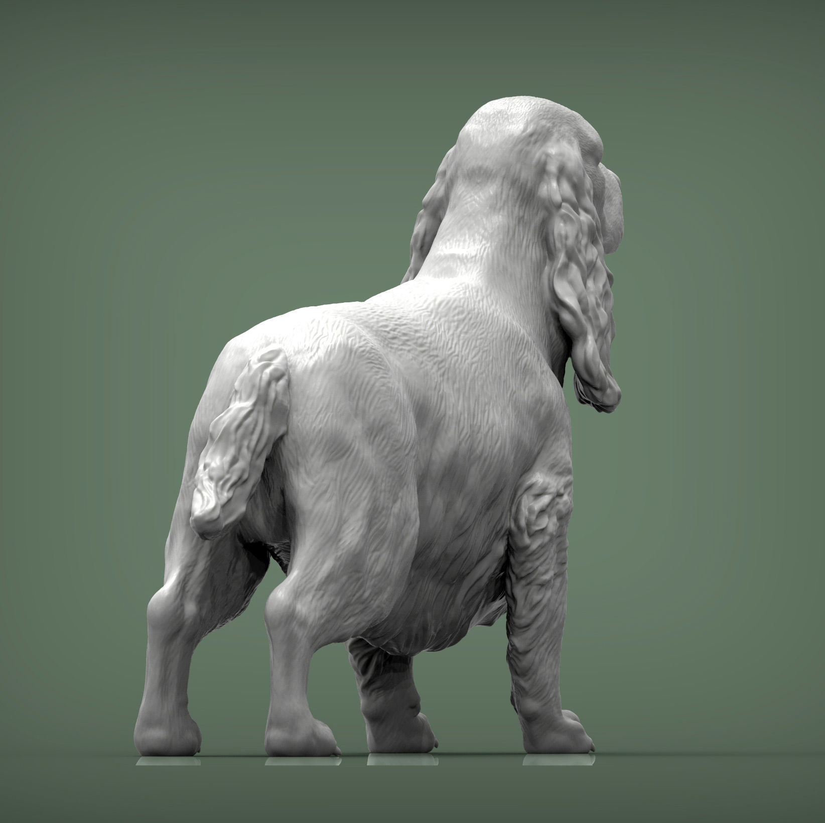 English Cocker Spaniel 3D print model_3
