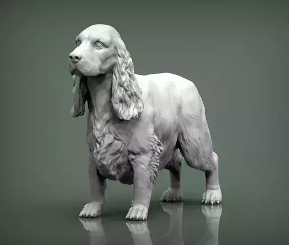 English Cocker Spaniel 3D print model