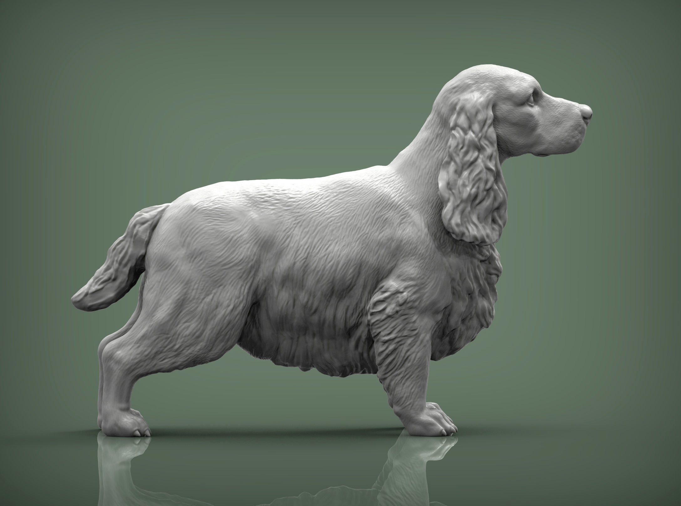 English Cocker Spaniel 3D print model_4