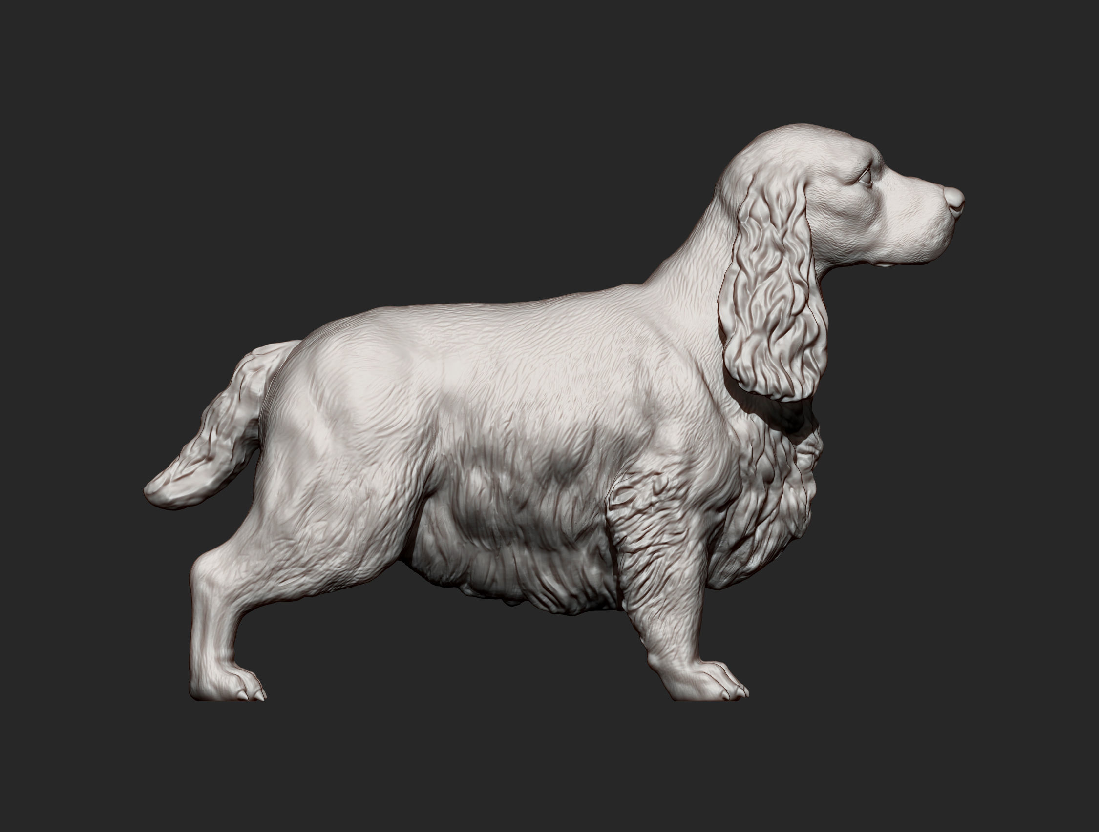 English Cocker Spaniel 3D print model_7
