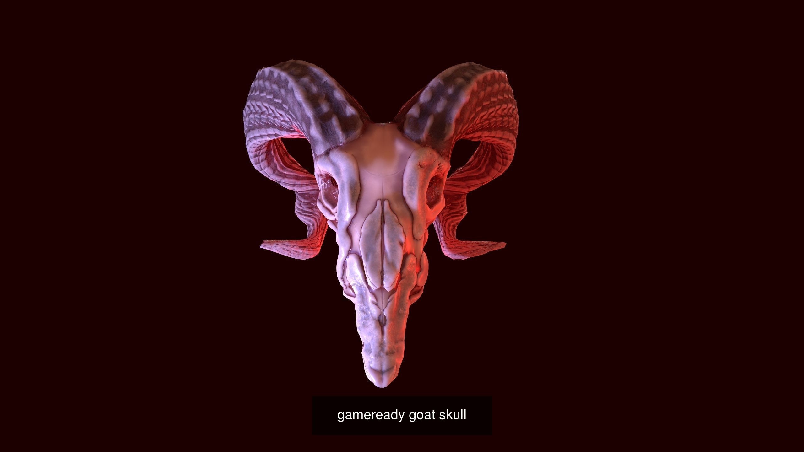 Low poly animal models 3D Model Collection_3