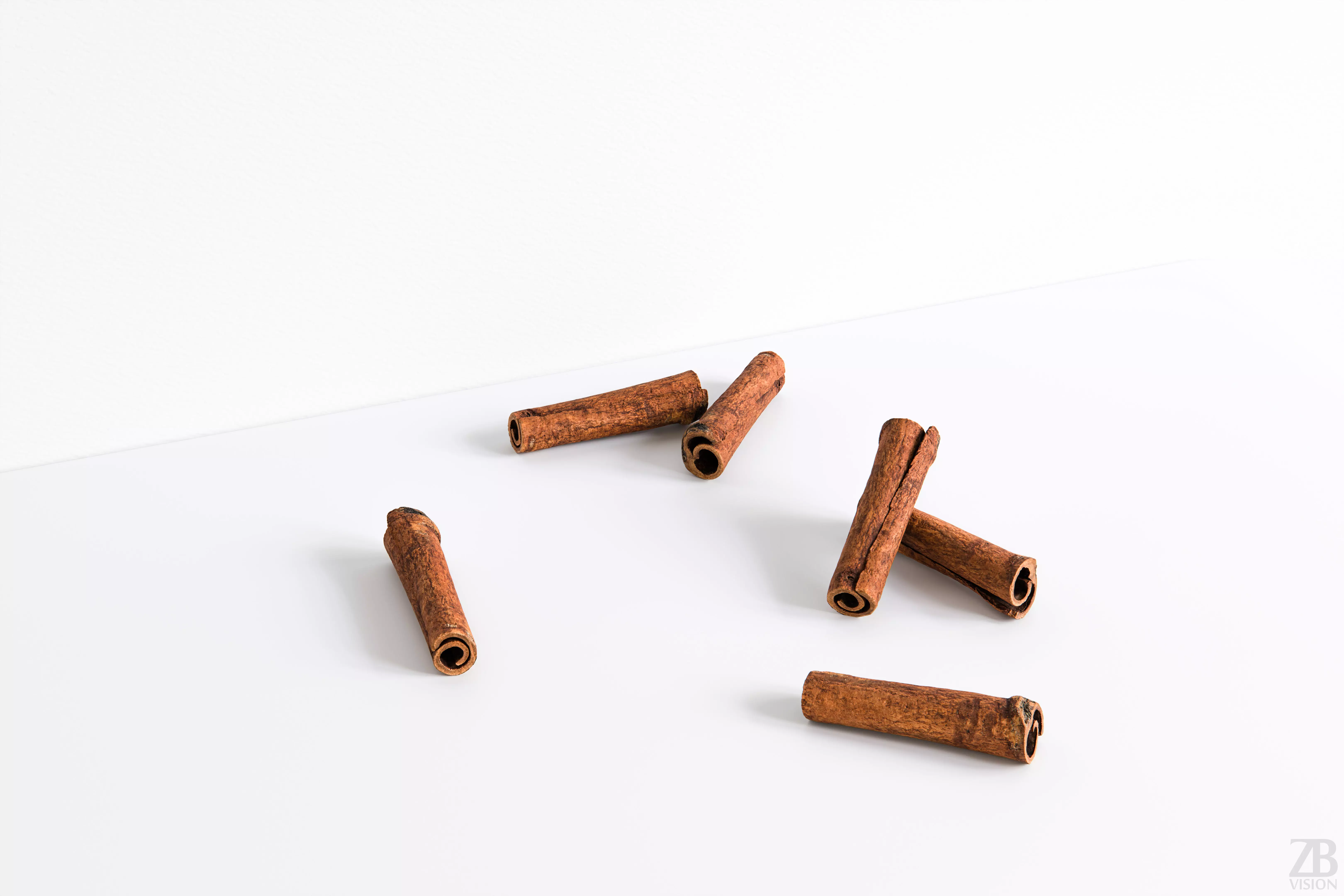 Cinnamon 3D model