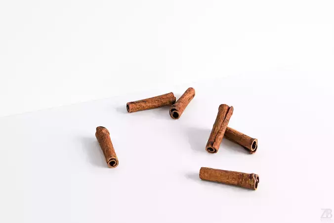 Cinnamon 3D model