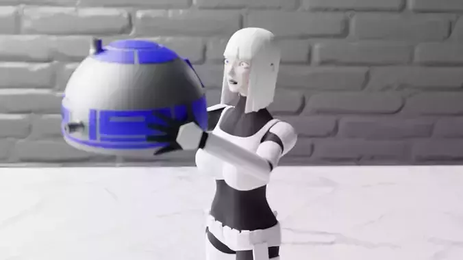 R2-D2 vs Stormtrooper 3D print model