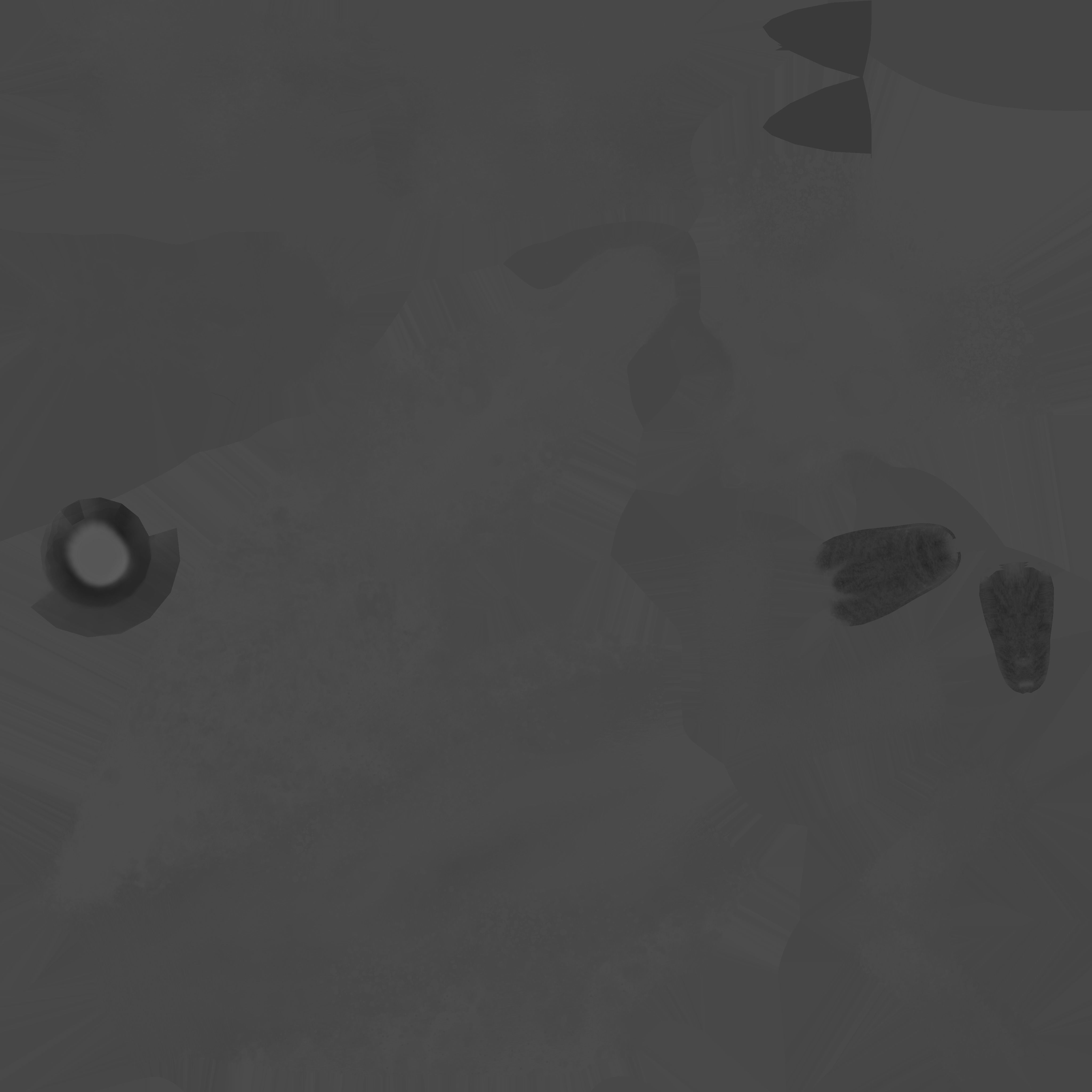 Seal and Polar Seal Low-poly 3D model_22