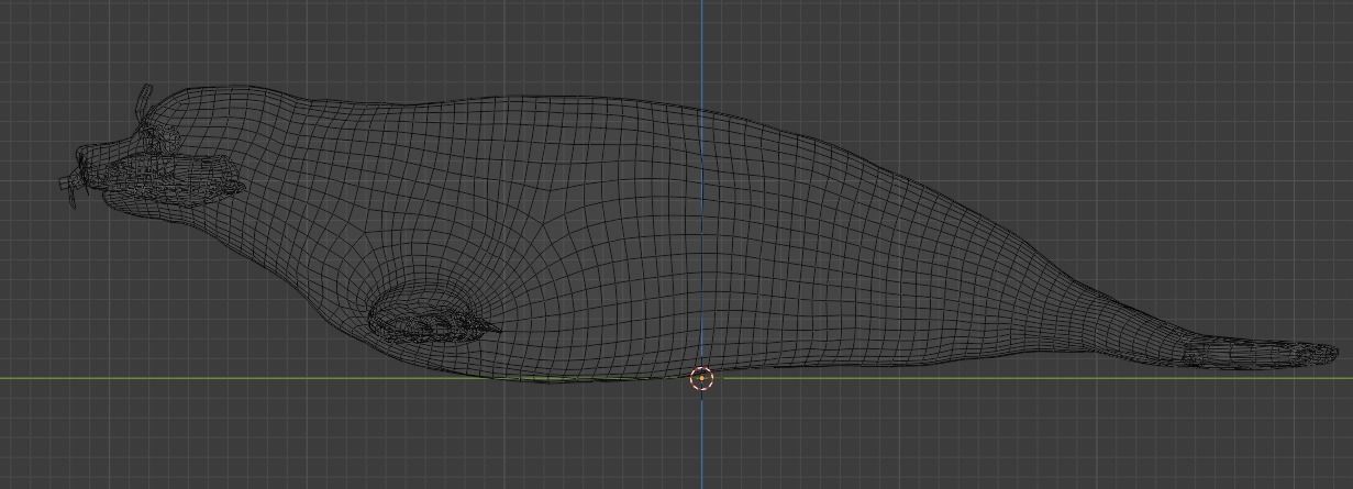 Seal and Polar Seal Low-poly 3D model_16