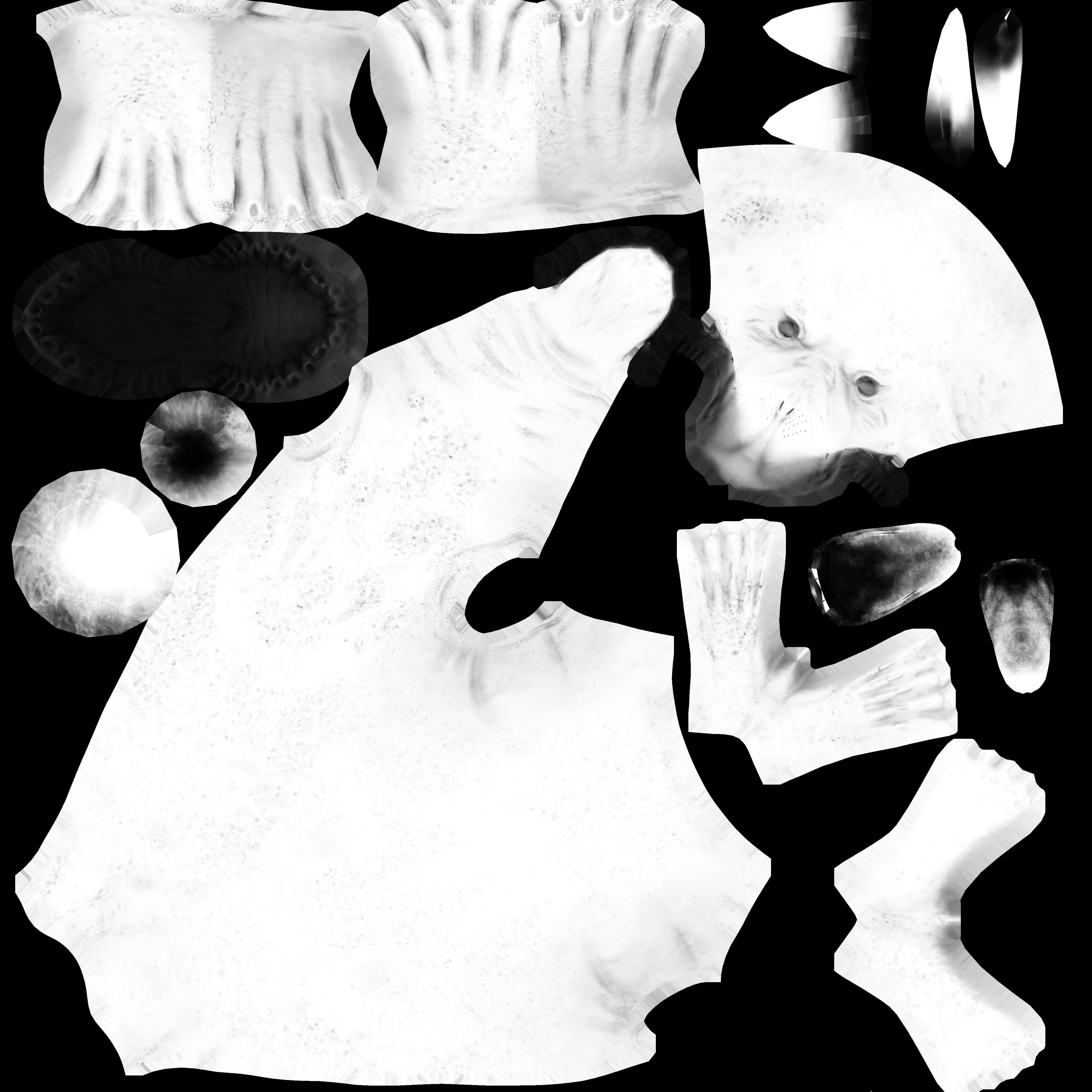 Seal and Polar Seal Low-poly 3D model_23