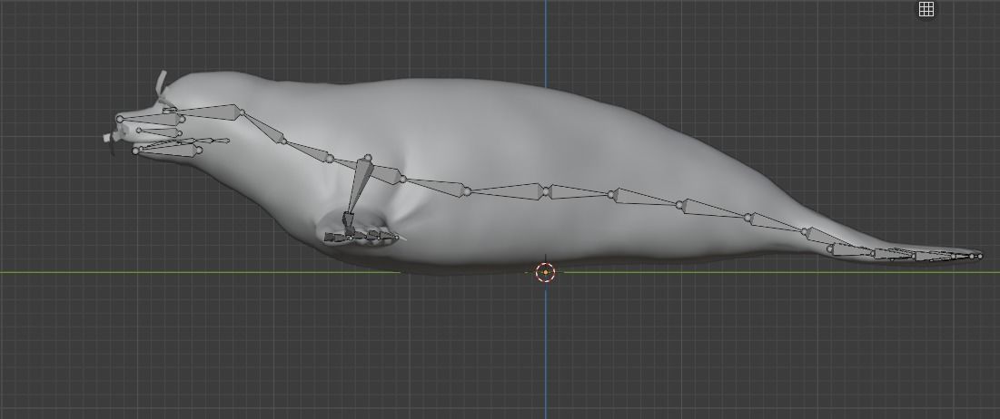 Seal and Polar Seal Low-poly 3D model_19