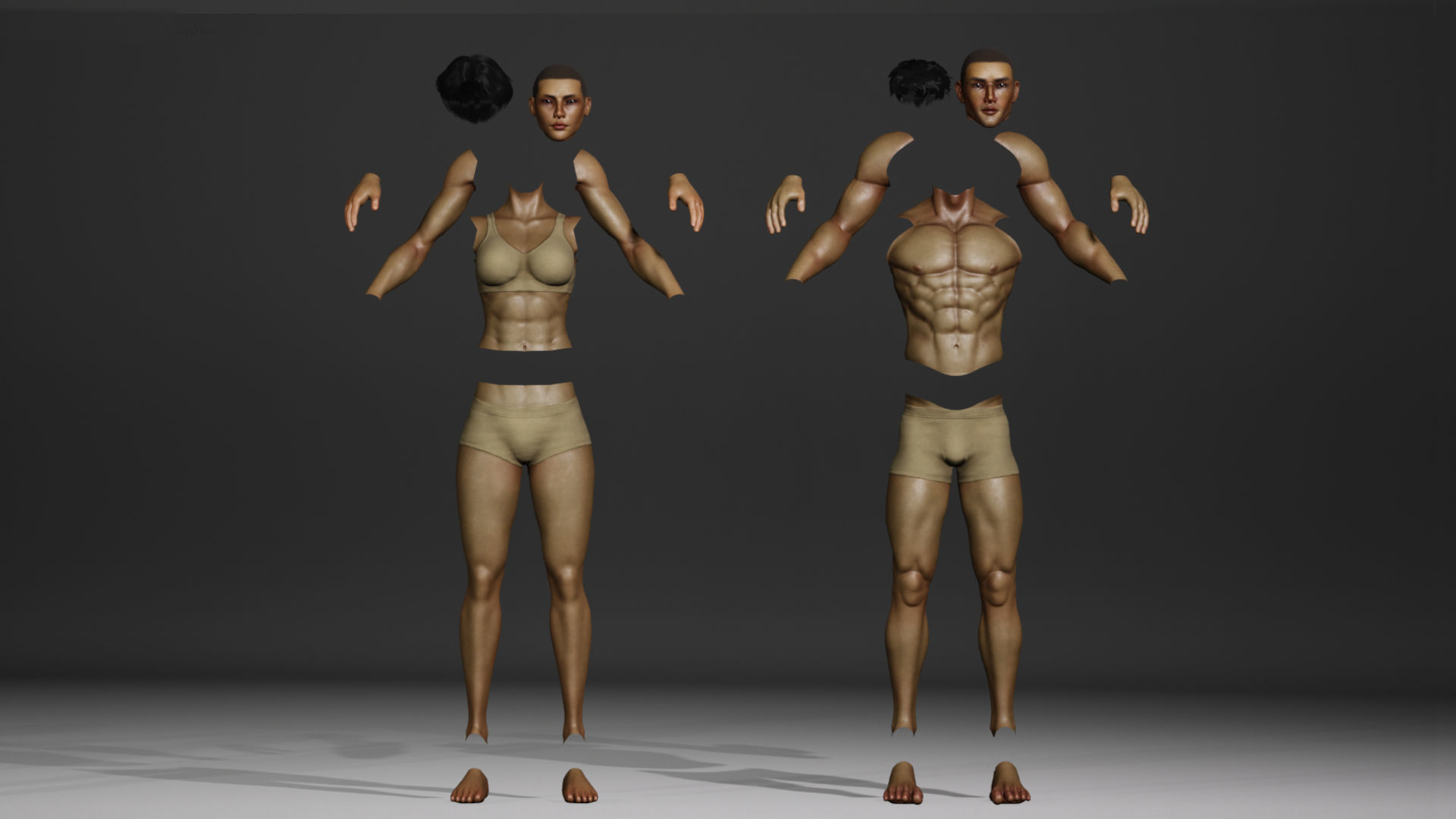 Human Base Male and Female V2 Low-poly 3D model_10