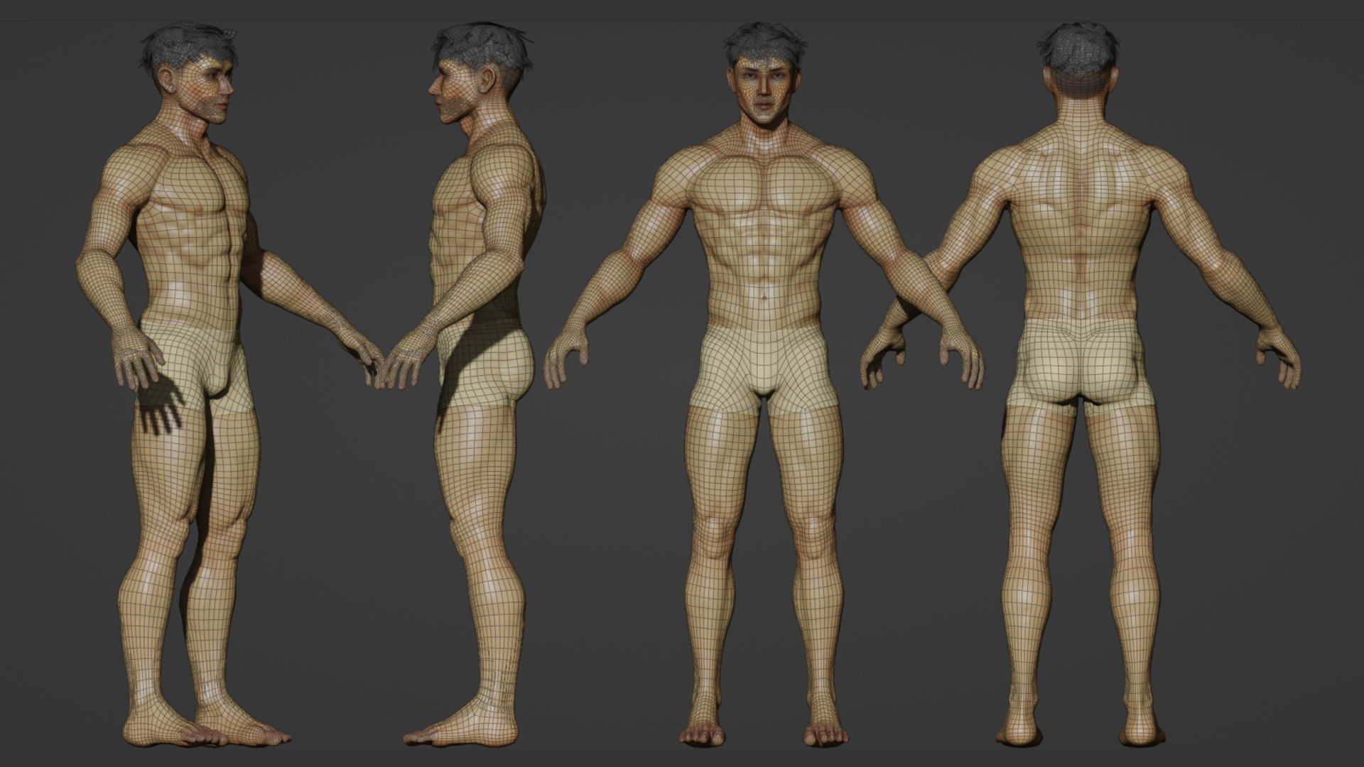 Human Base Male and Female V2 Low-poly 3D model_4