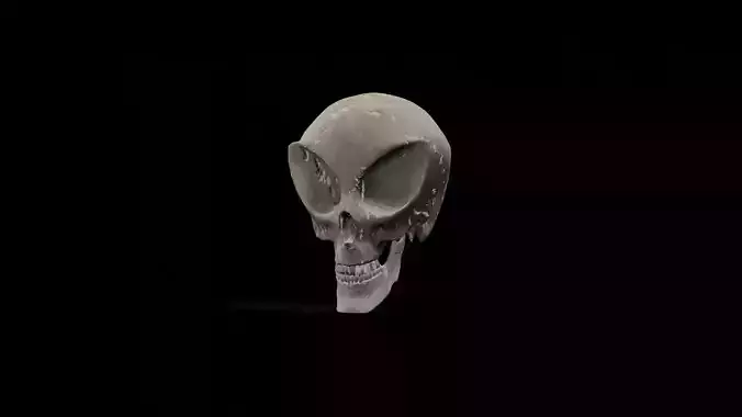 Alien low poly game ready Skull