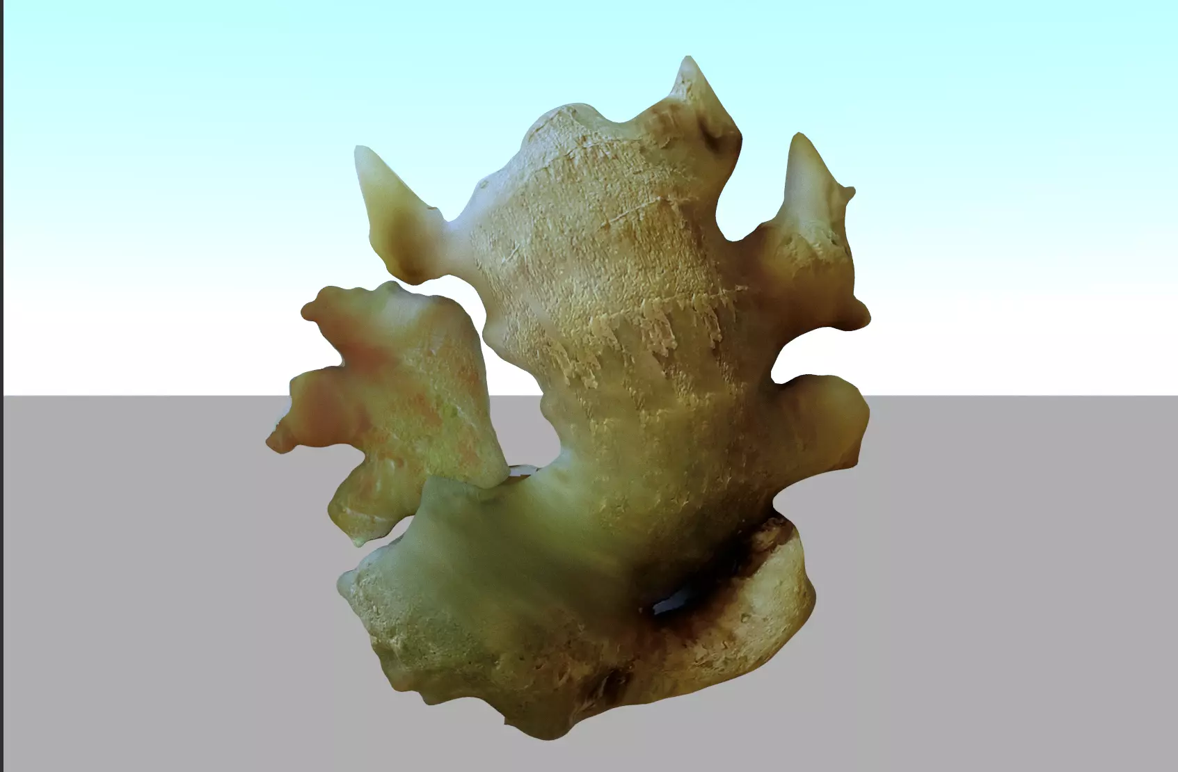 Ginger CG model download Ginger game assets 3D model