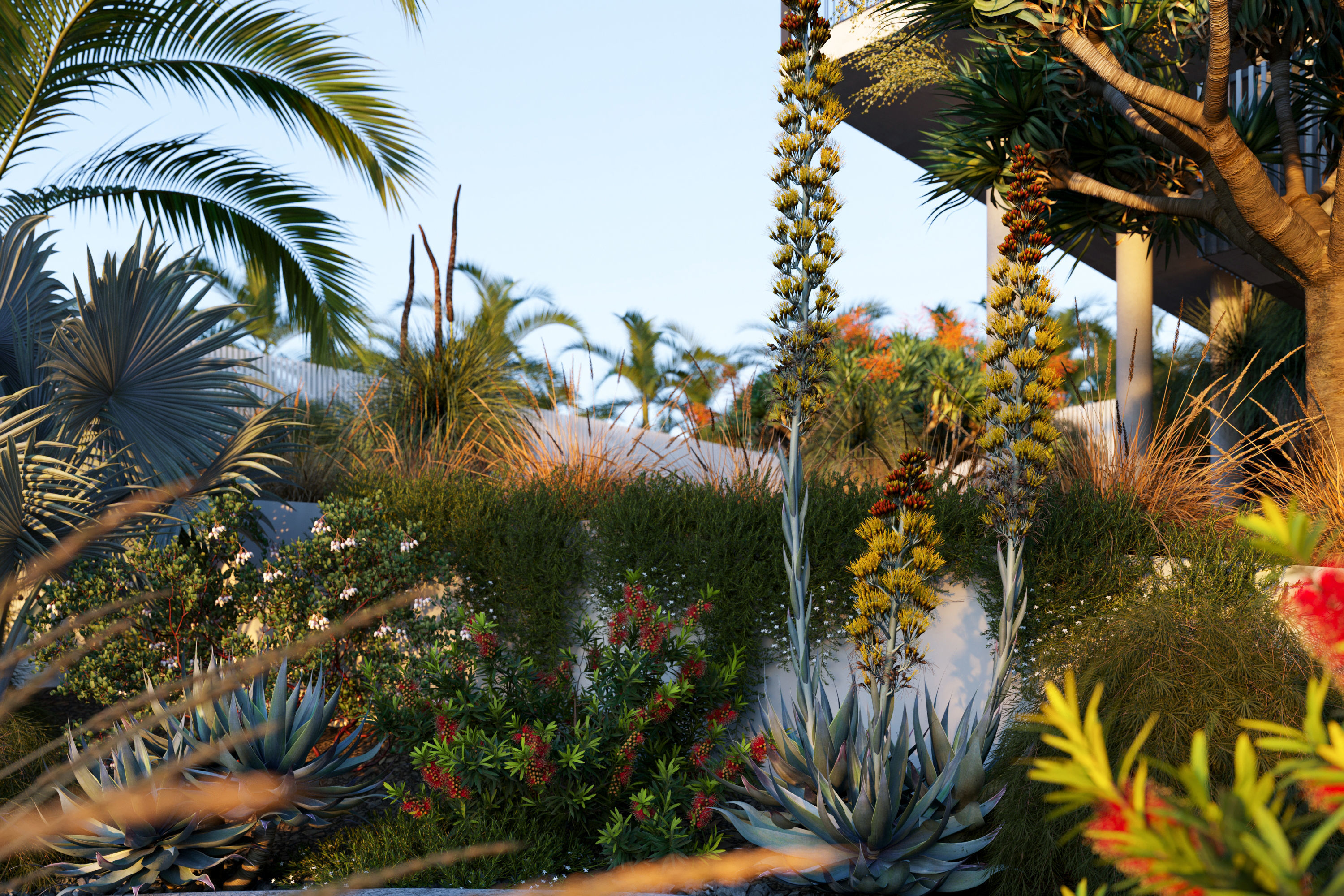Australian Plants 3D model_4