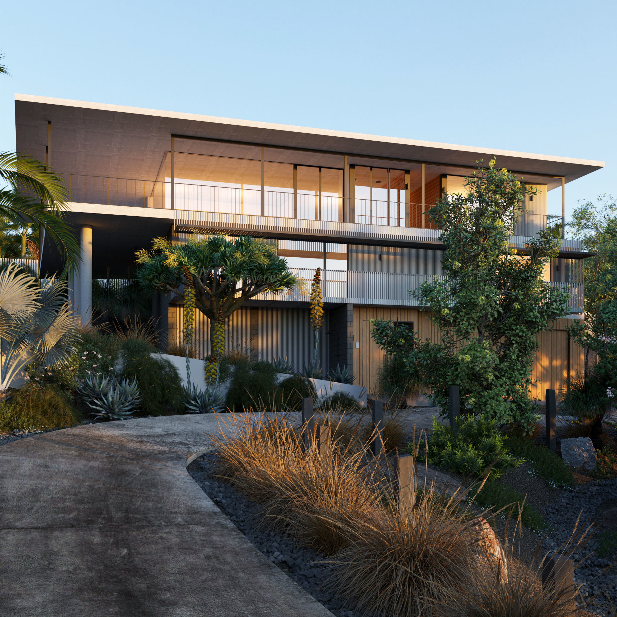 Australian Plants 3D model_1