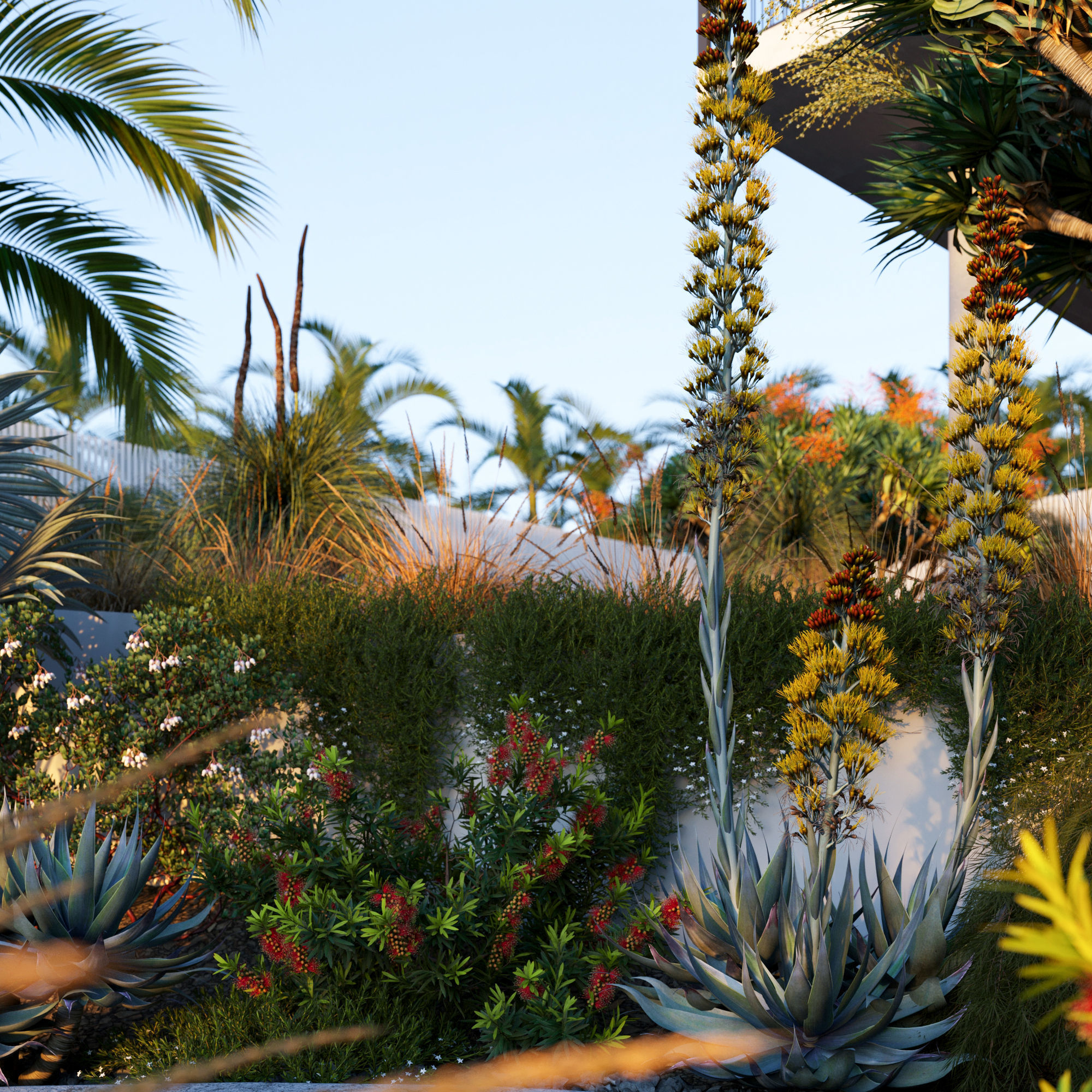 Australian Plants 3D model_3