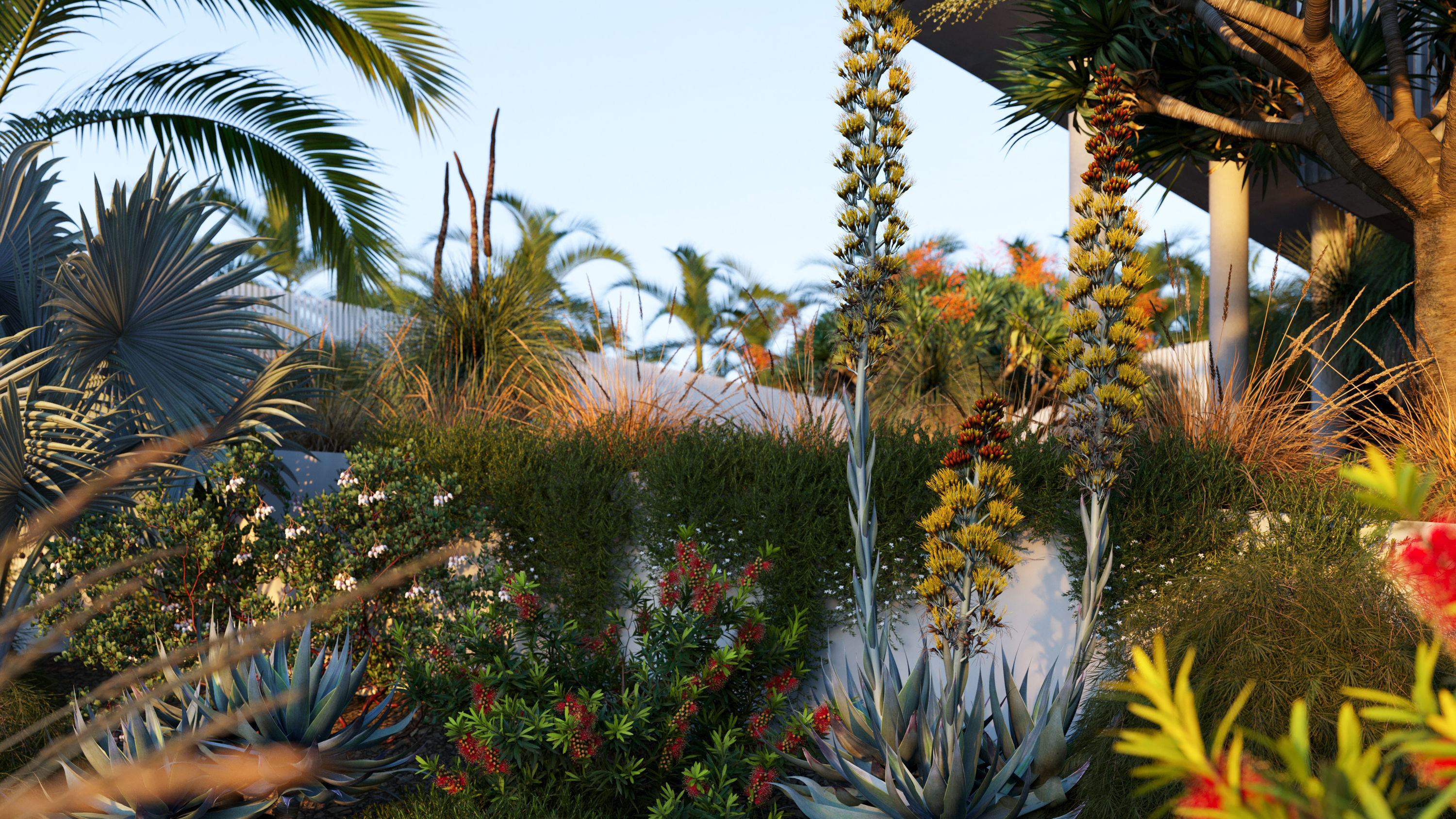 Australian Plants 3D model_5