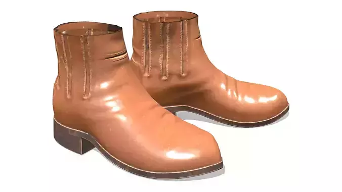 Shiny Brown Leather Ankle Boots