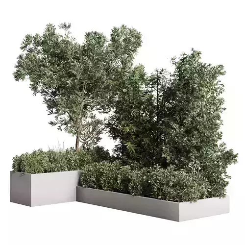 set of plants in concrete box - collection outdoor plant 115 3D model