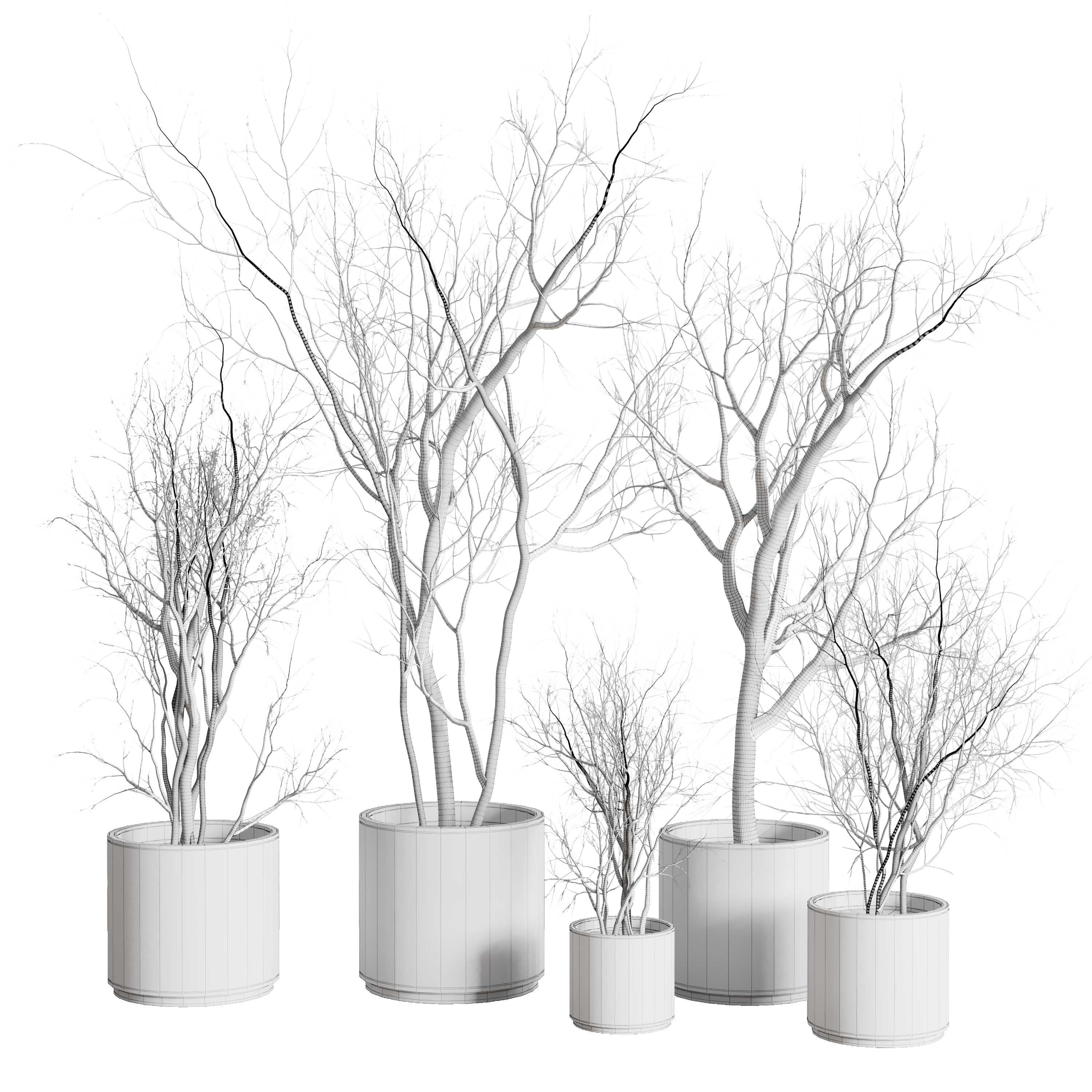 Tree and Dried branches with concrete dirt vase 3D model_3