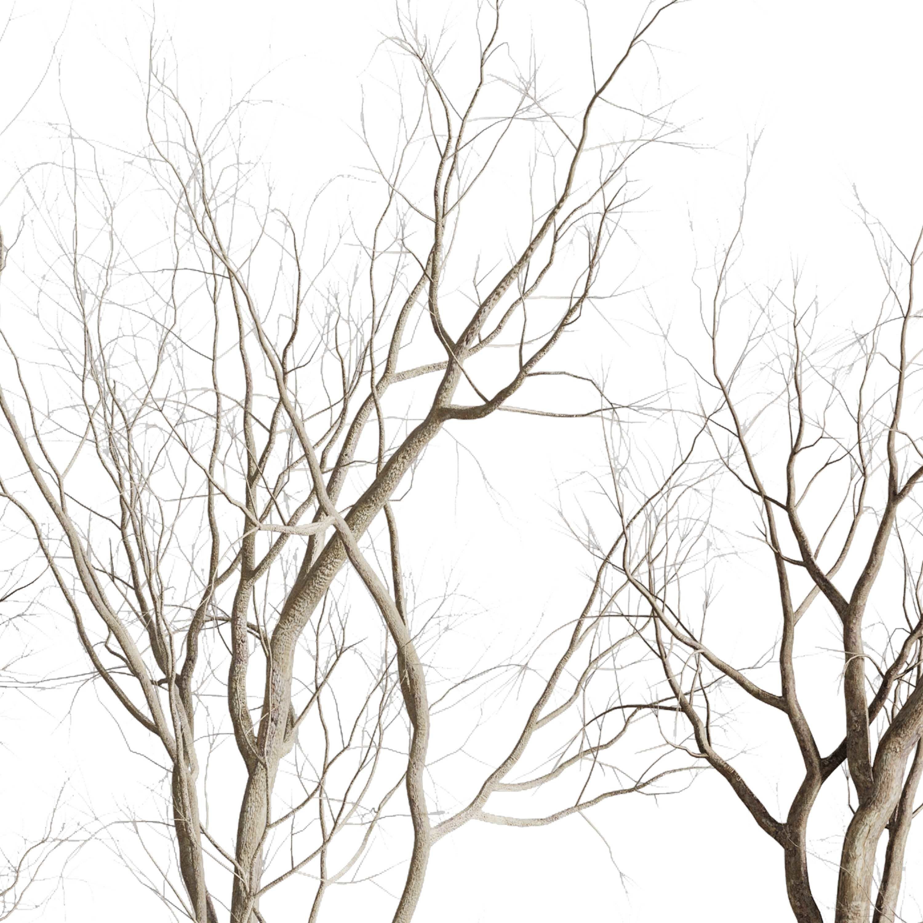 Tree and Dried branches with concrete dirt vase 3D model_2