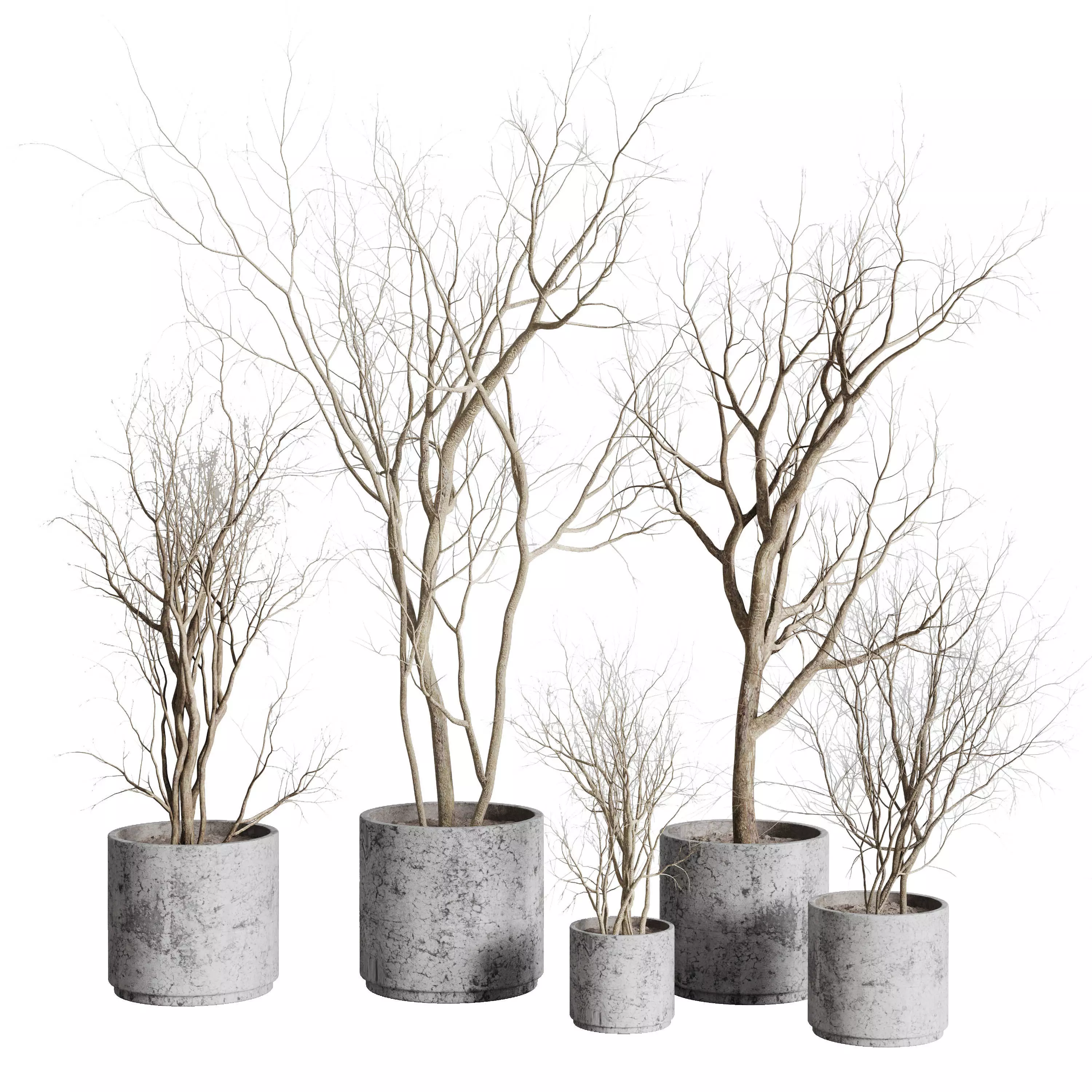 Tree and Dried branches with concrete dirt vase 3D model_0