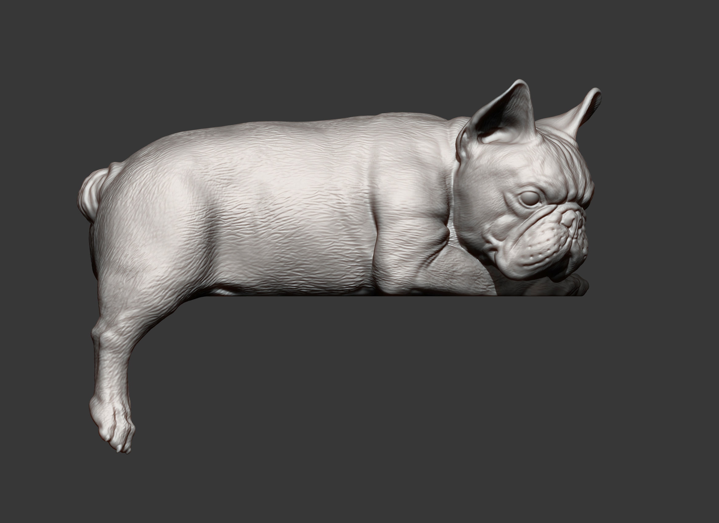 French Bulldog 3D print model_9