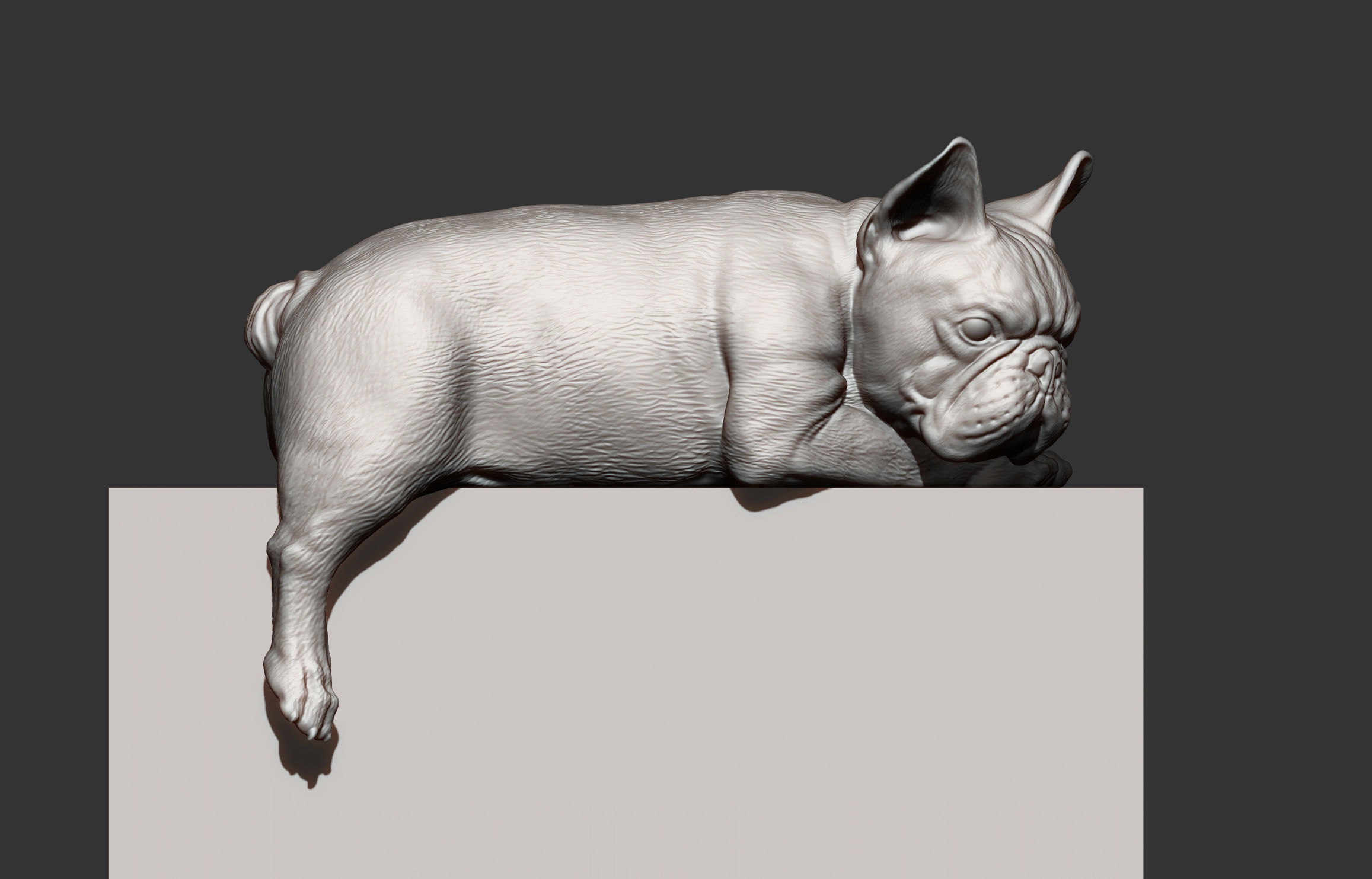 French Bulldog 3D print model_12