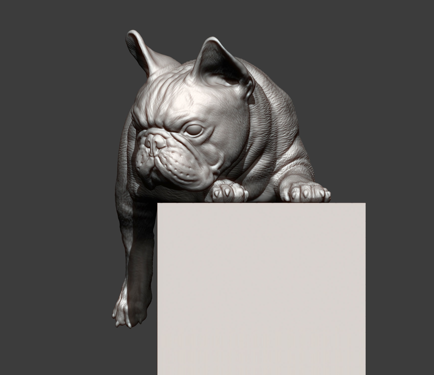 French Bulldog 3D print model_8