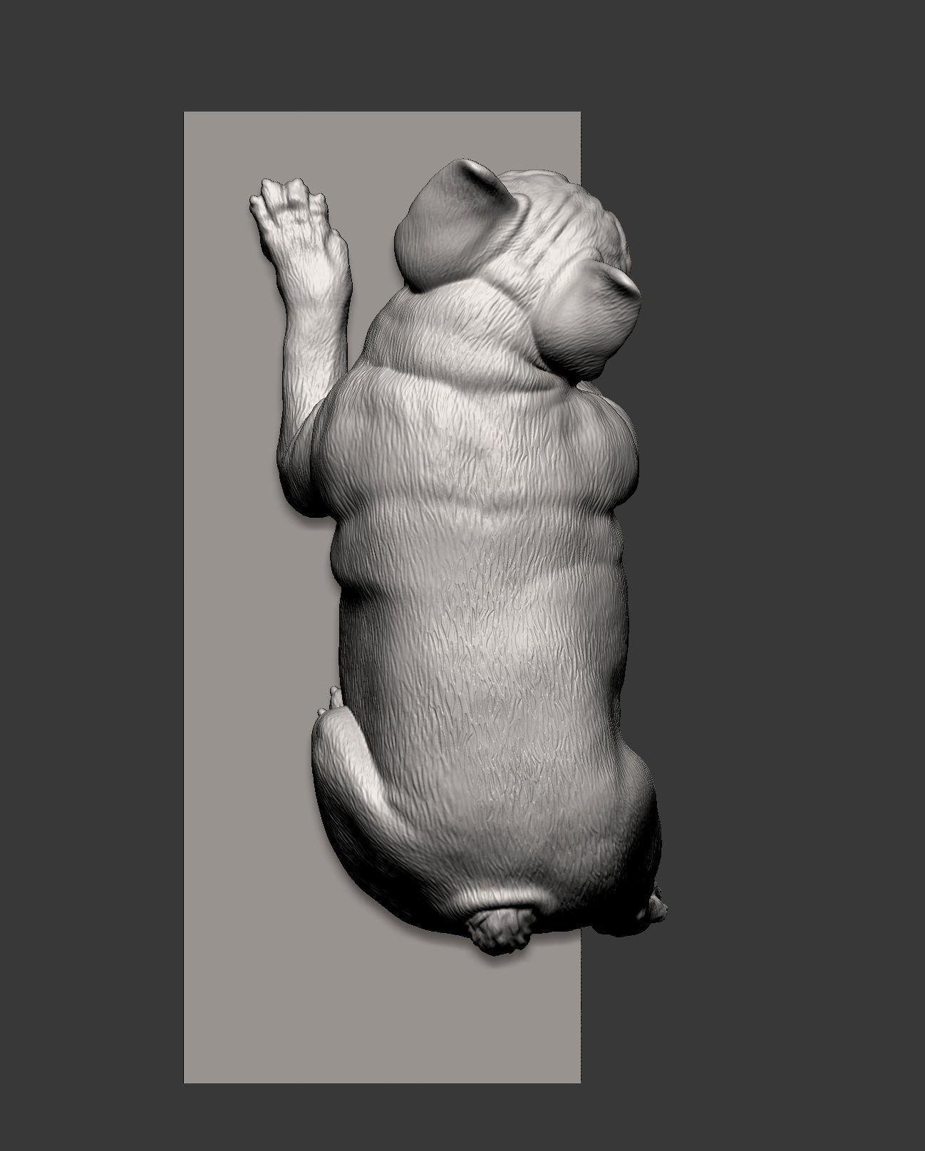 French Bulldog 3D print model_10