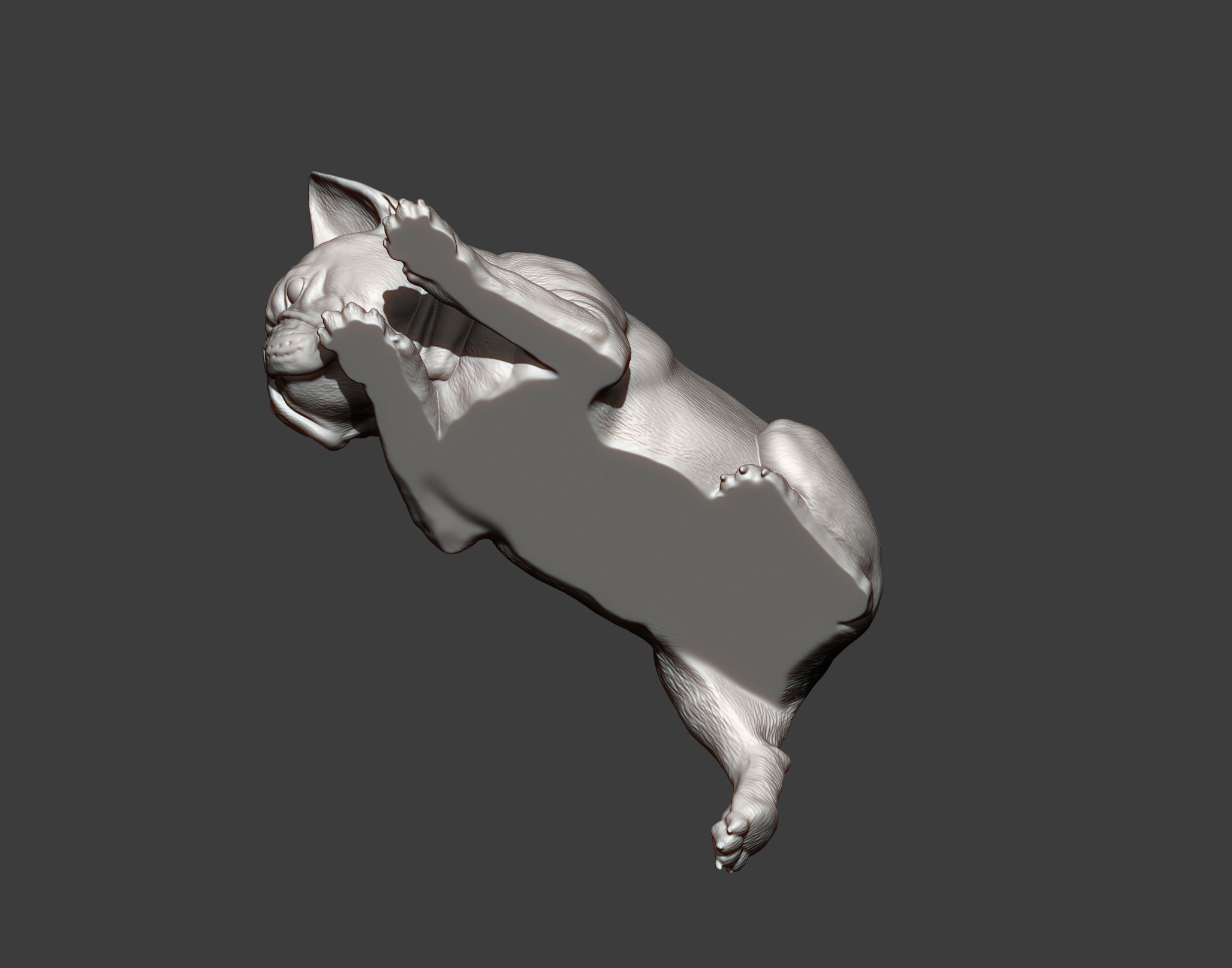 French Bulldog 3D print model_5
