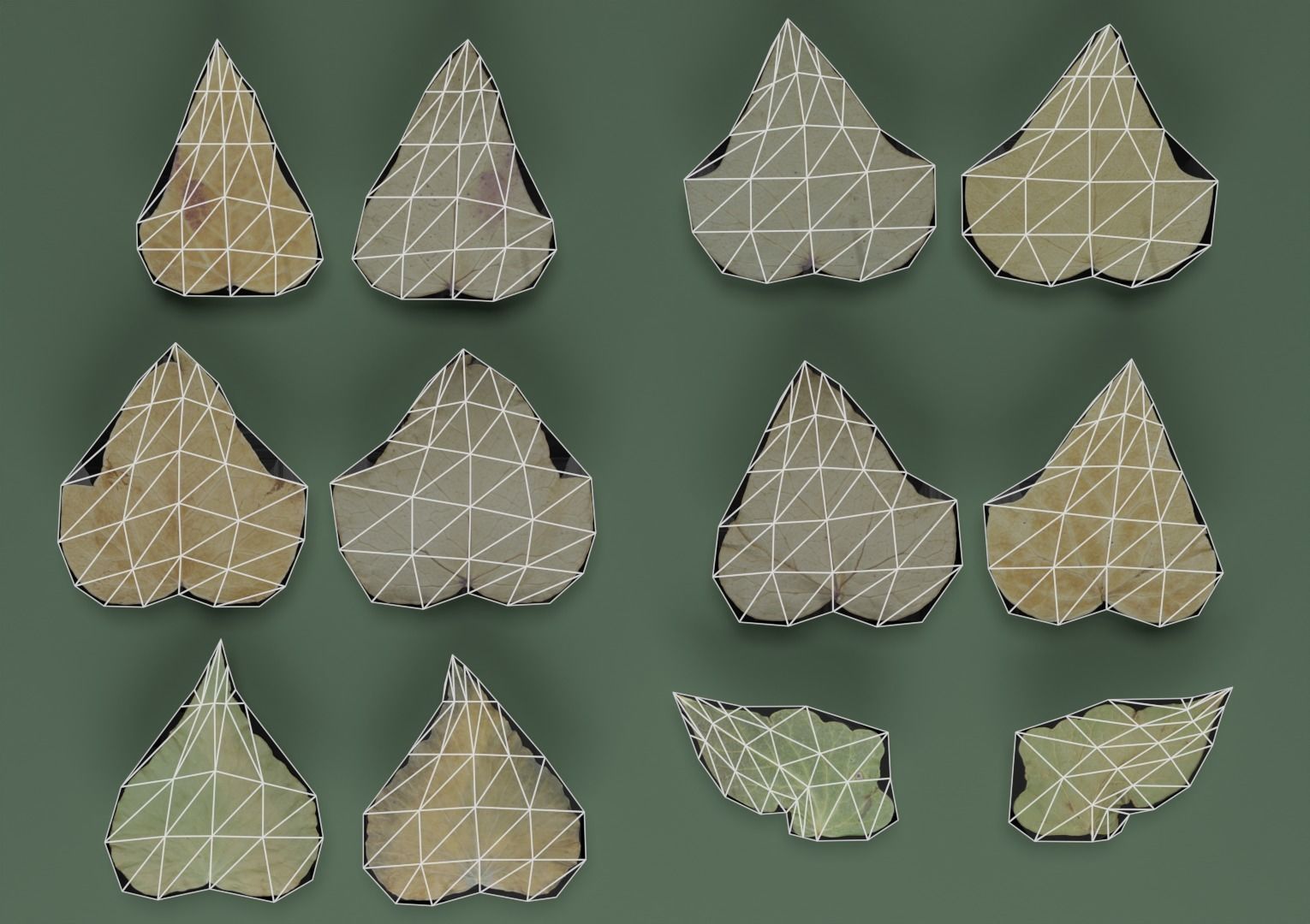 Dry Ivy Leaves Photorealistic Low-poly 3D model_3