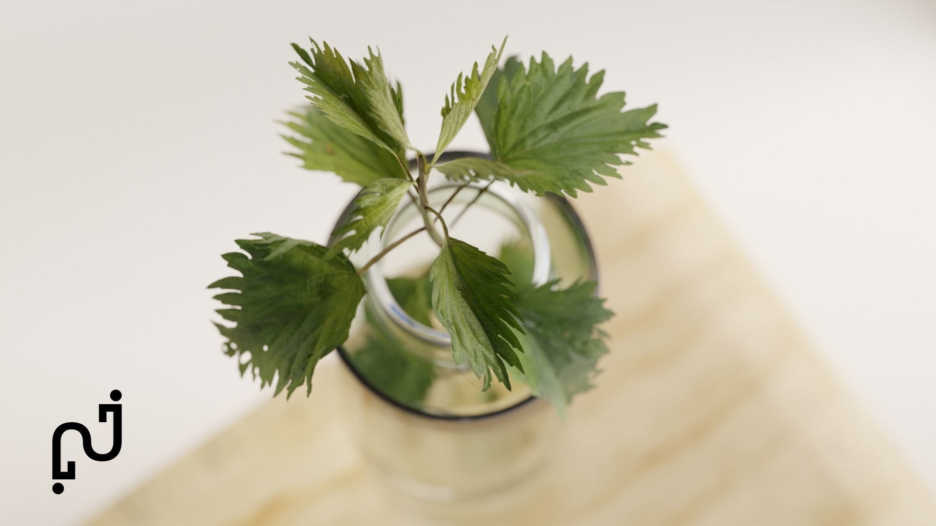 Modern Table with plants and decorative clock and swan statue Low-poly 3D model_4