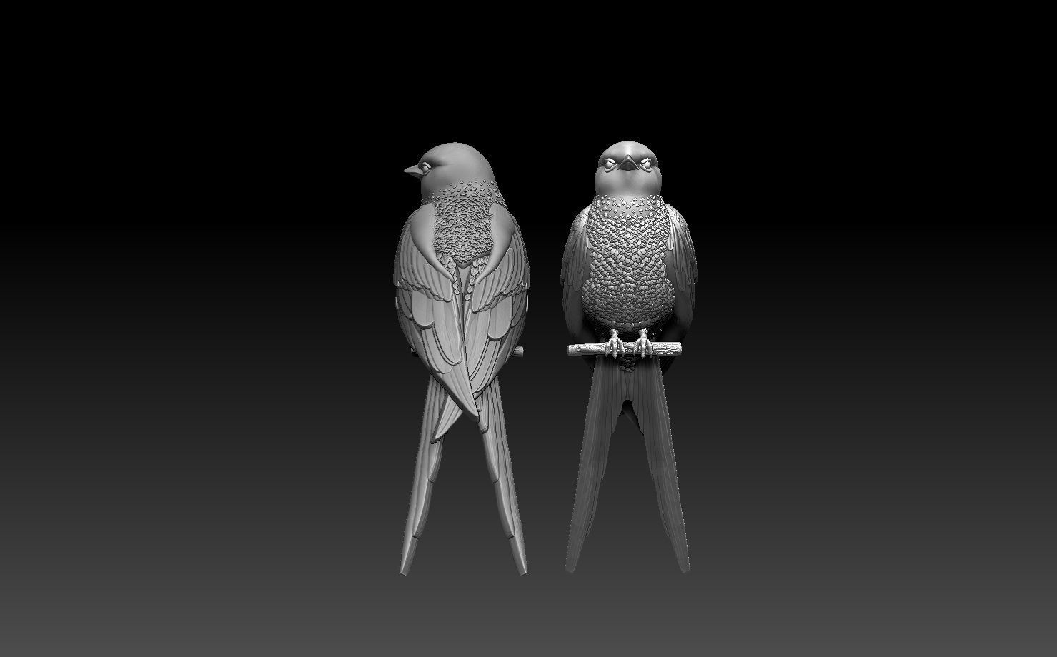 swallow two birds perched on branch 3D print model_40