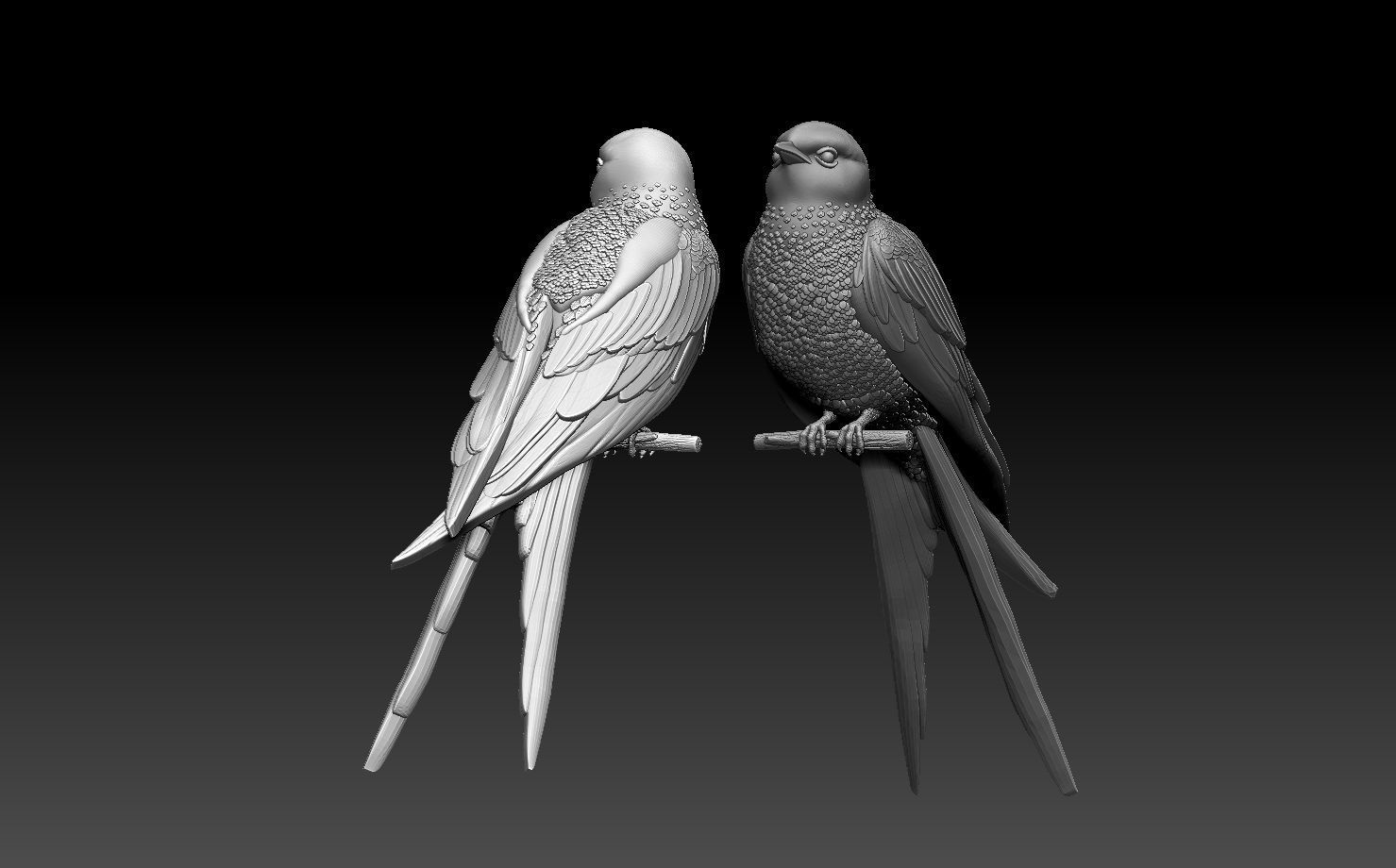 swallow two birds perched on branch 3D print model_66